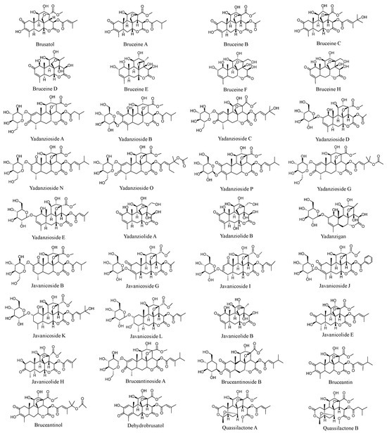 Potential of Traditional Chinese Medicine Brucea javanica in