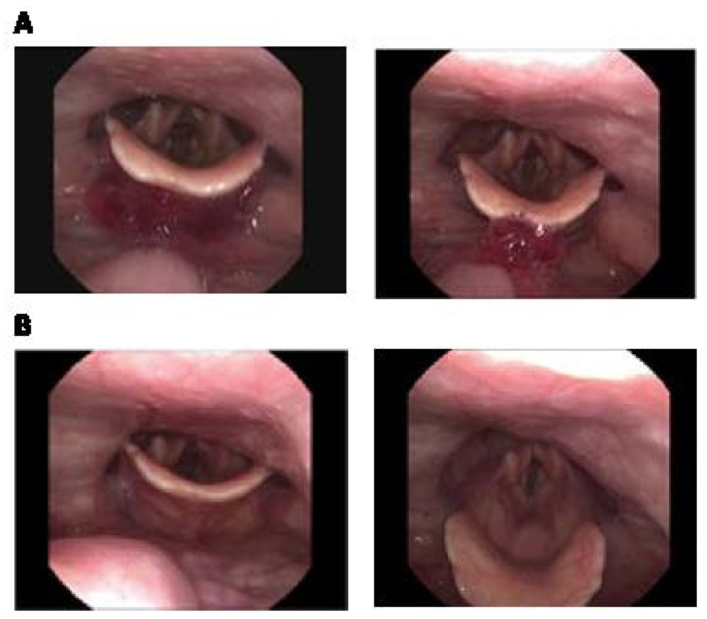 Nutrients 17 03289 g003