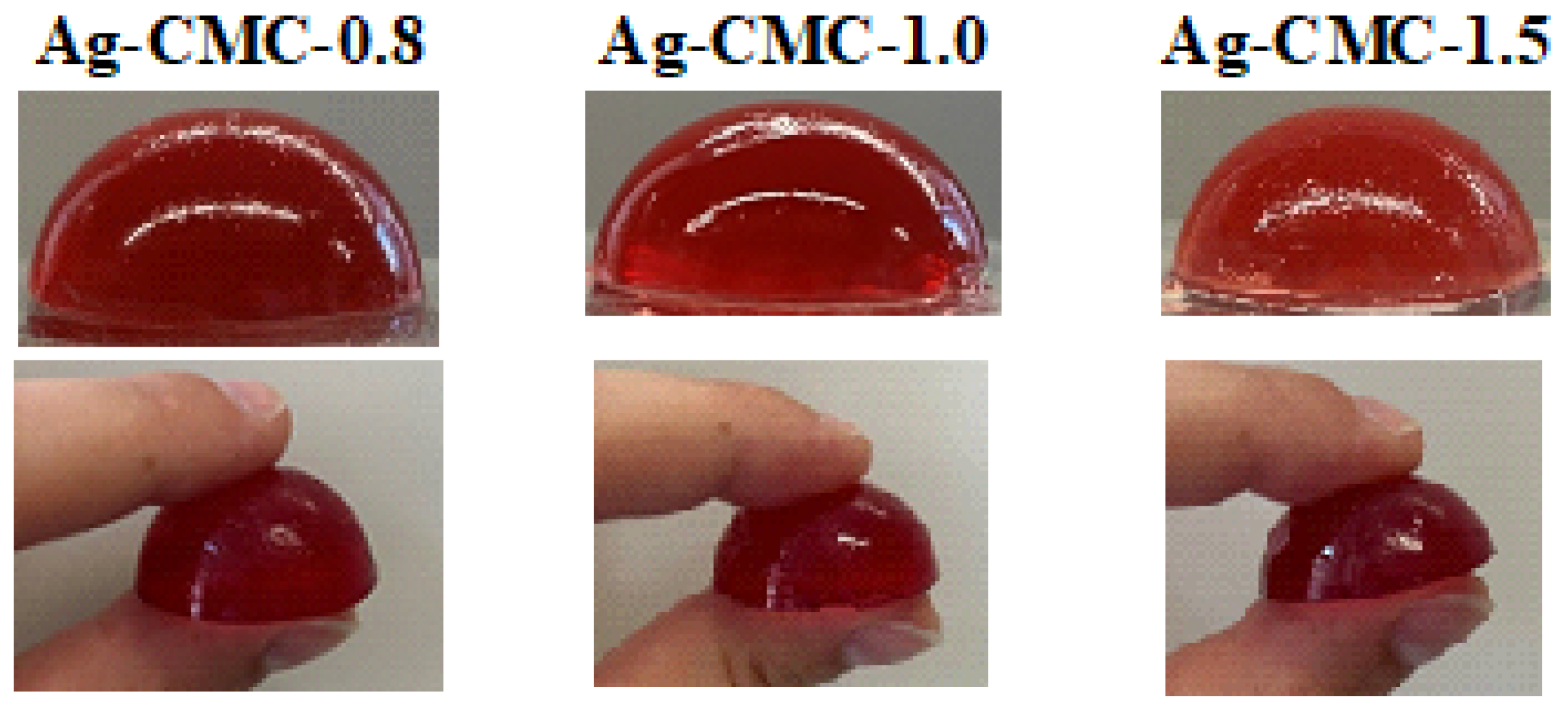 Nutrients 17 03289 g0a1