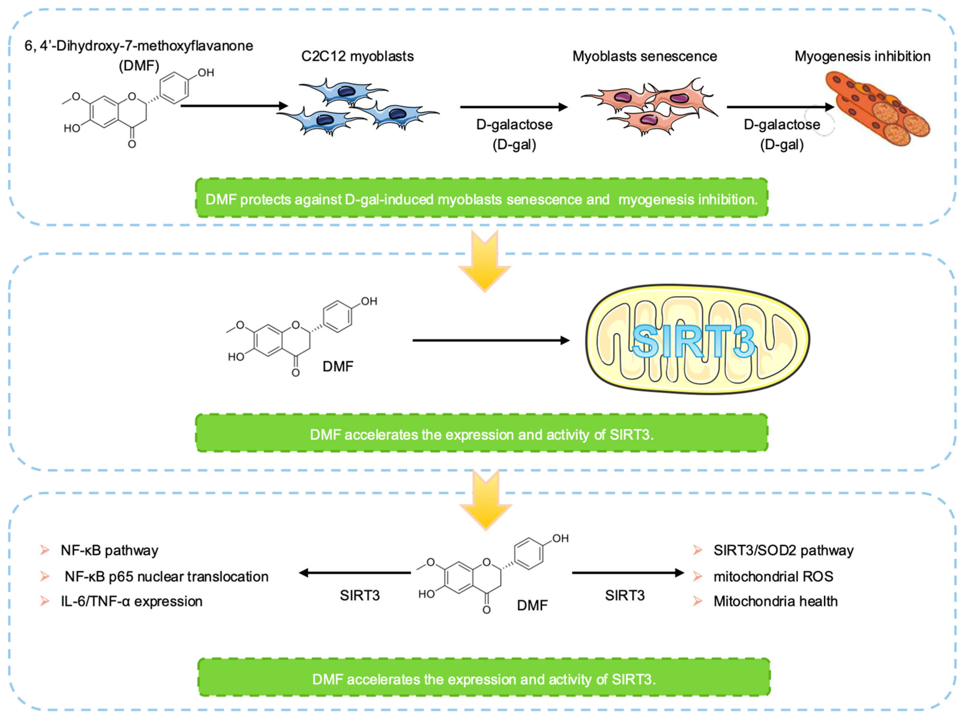 Nutrients 17 03298 g001