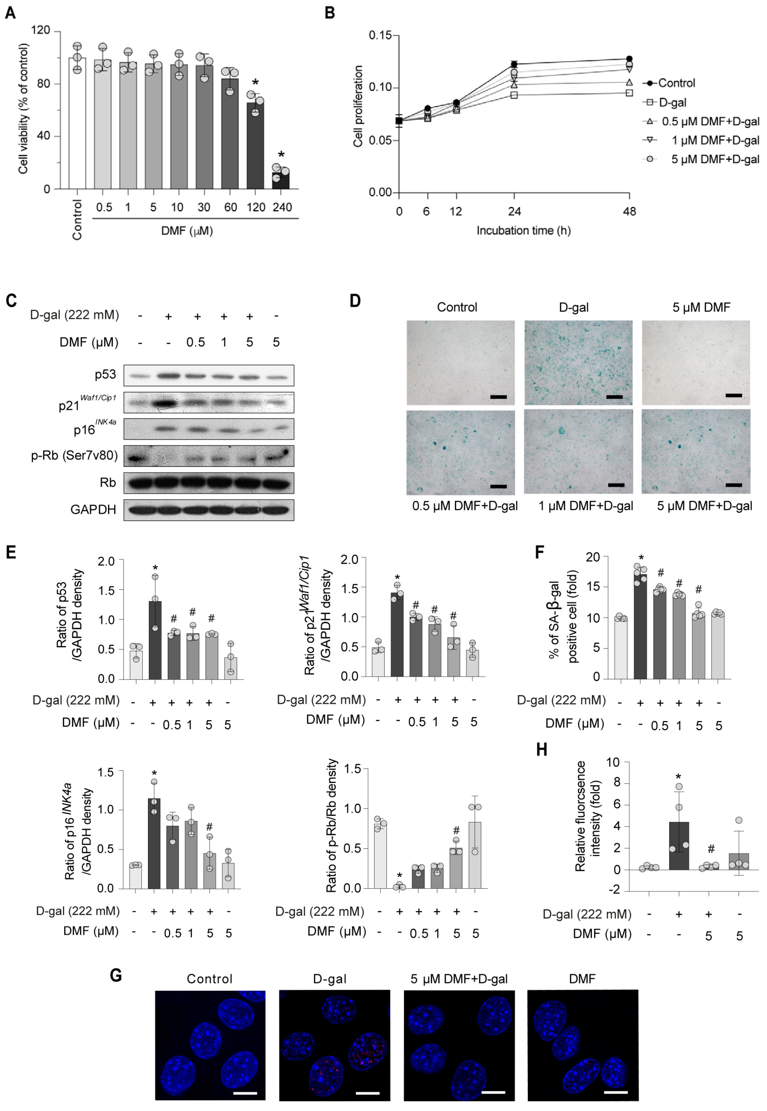 Nutrients 17 03298 g002