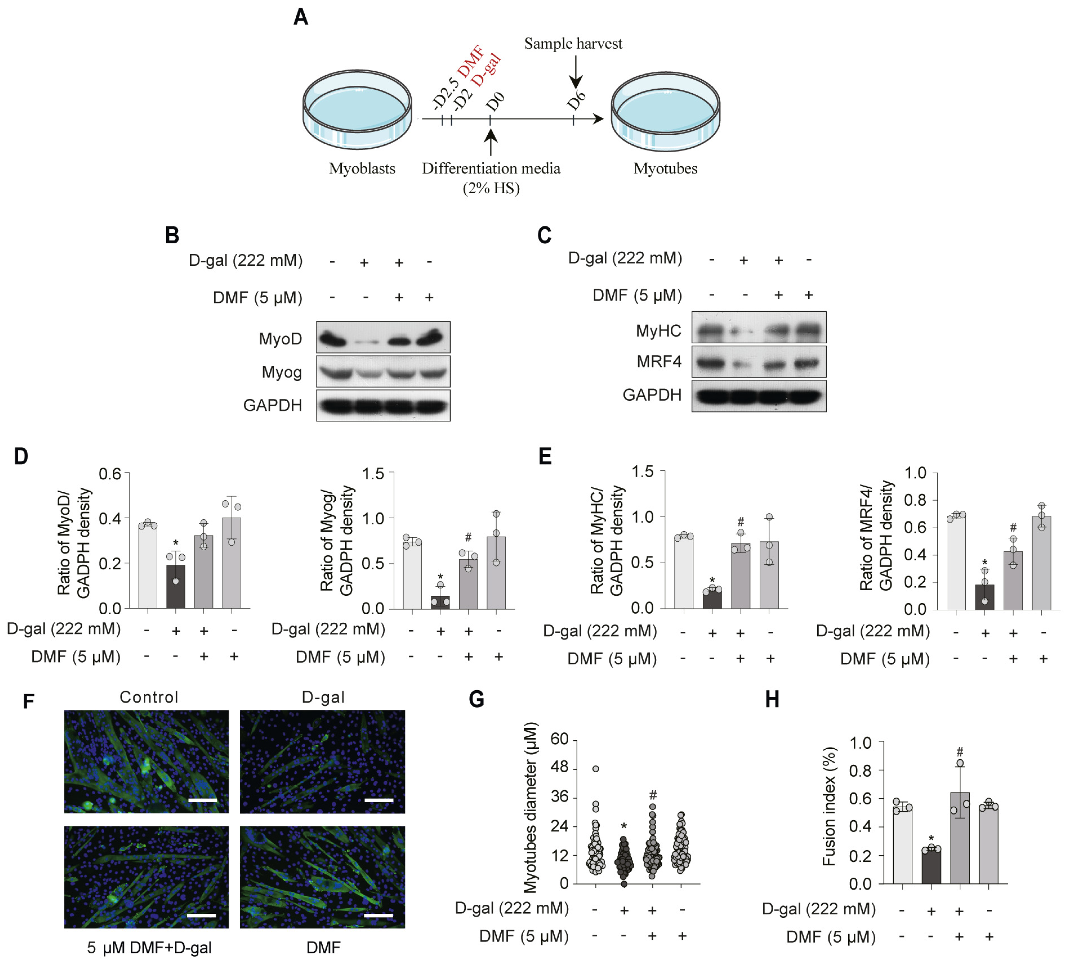 Nutrients 17 03298 g003