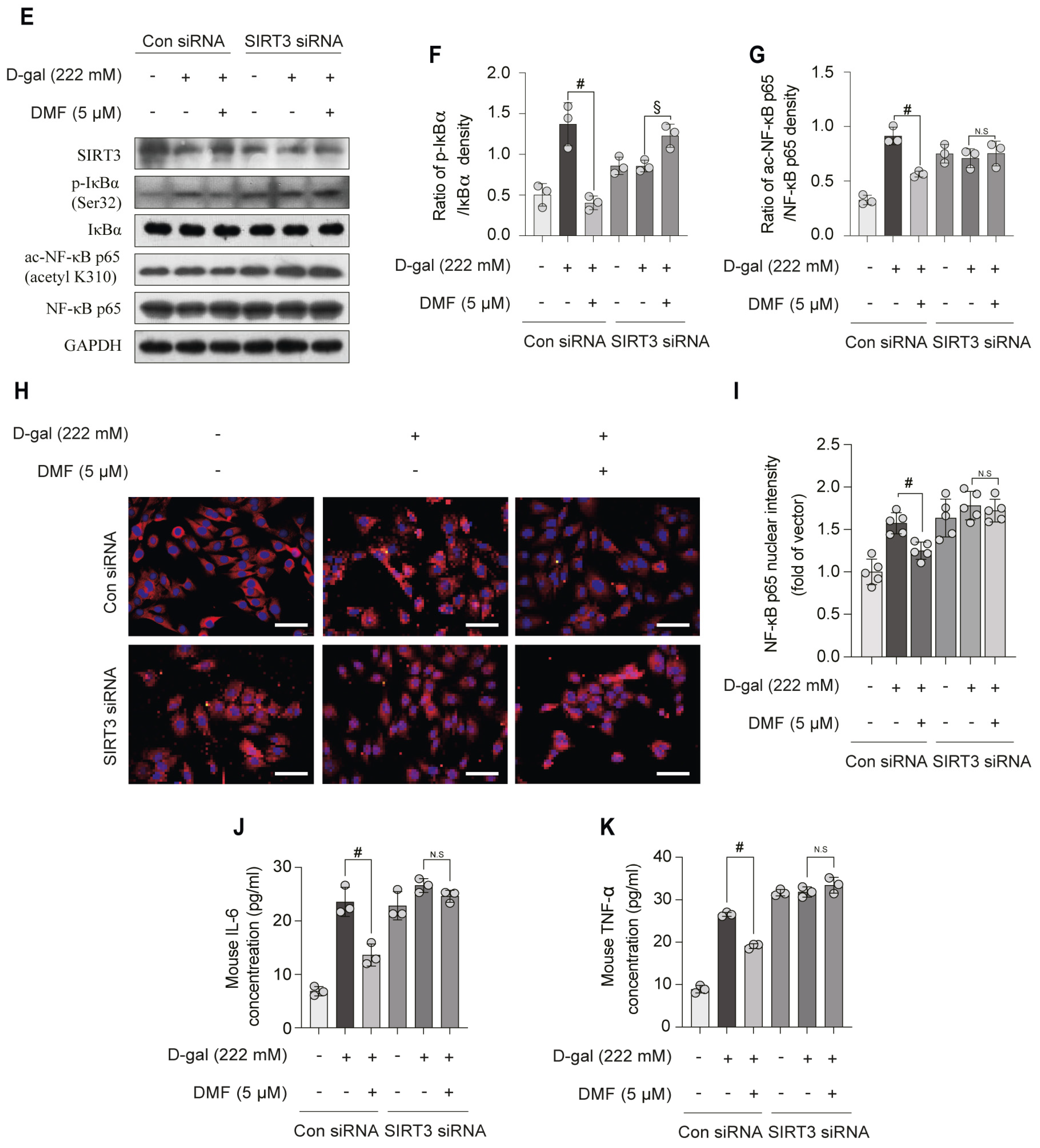 Nutrients 17 03298 g006b