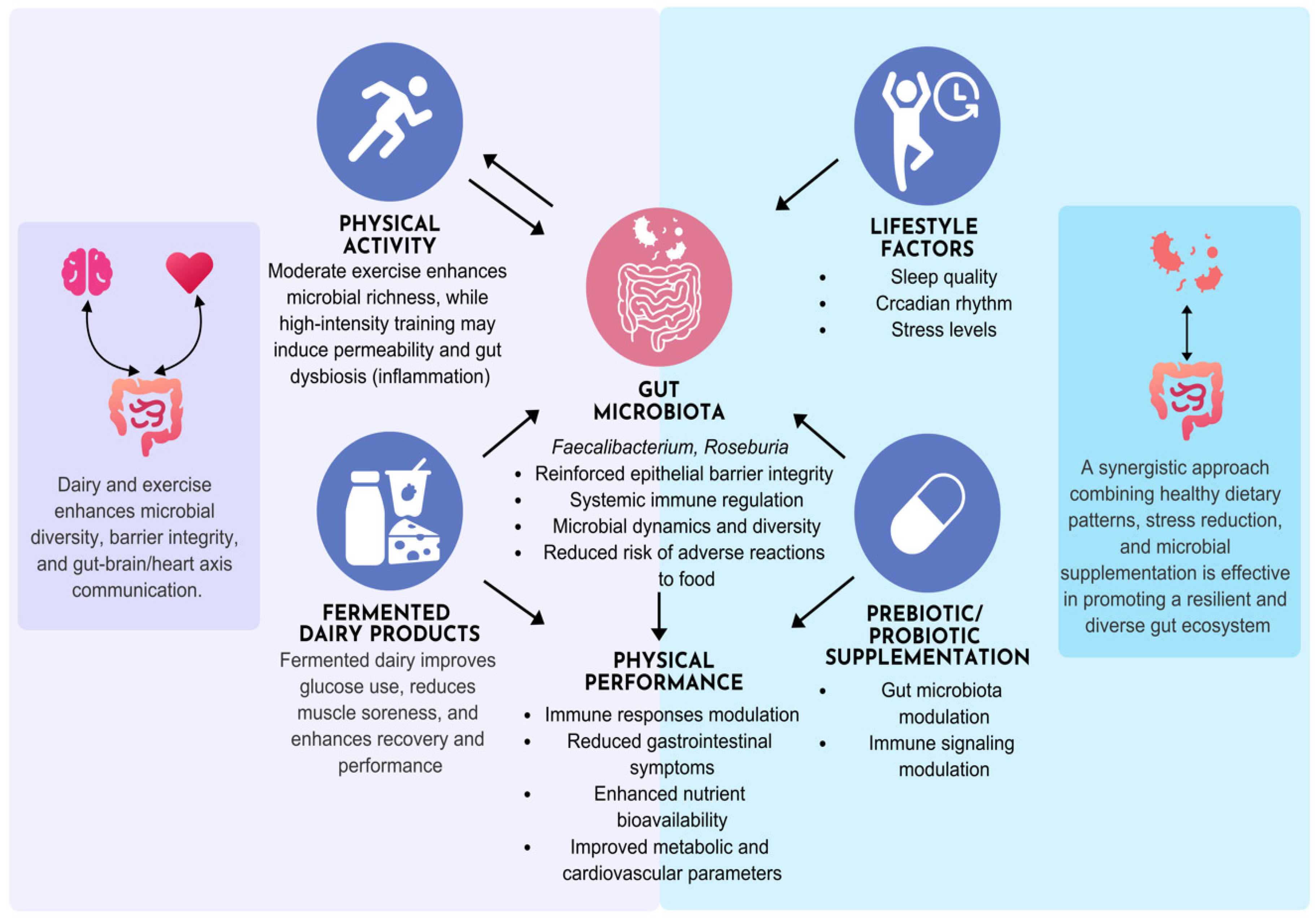 Nutrients 17 03312 g003
