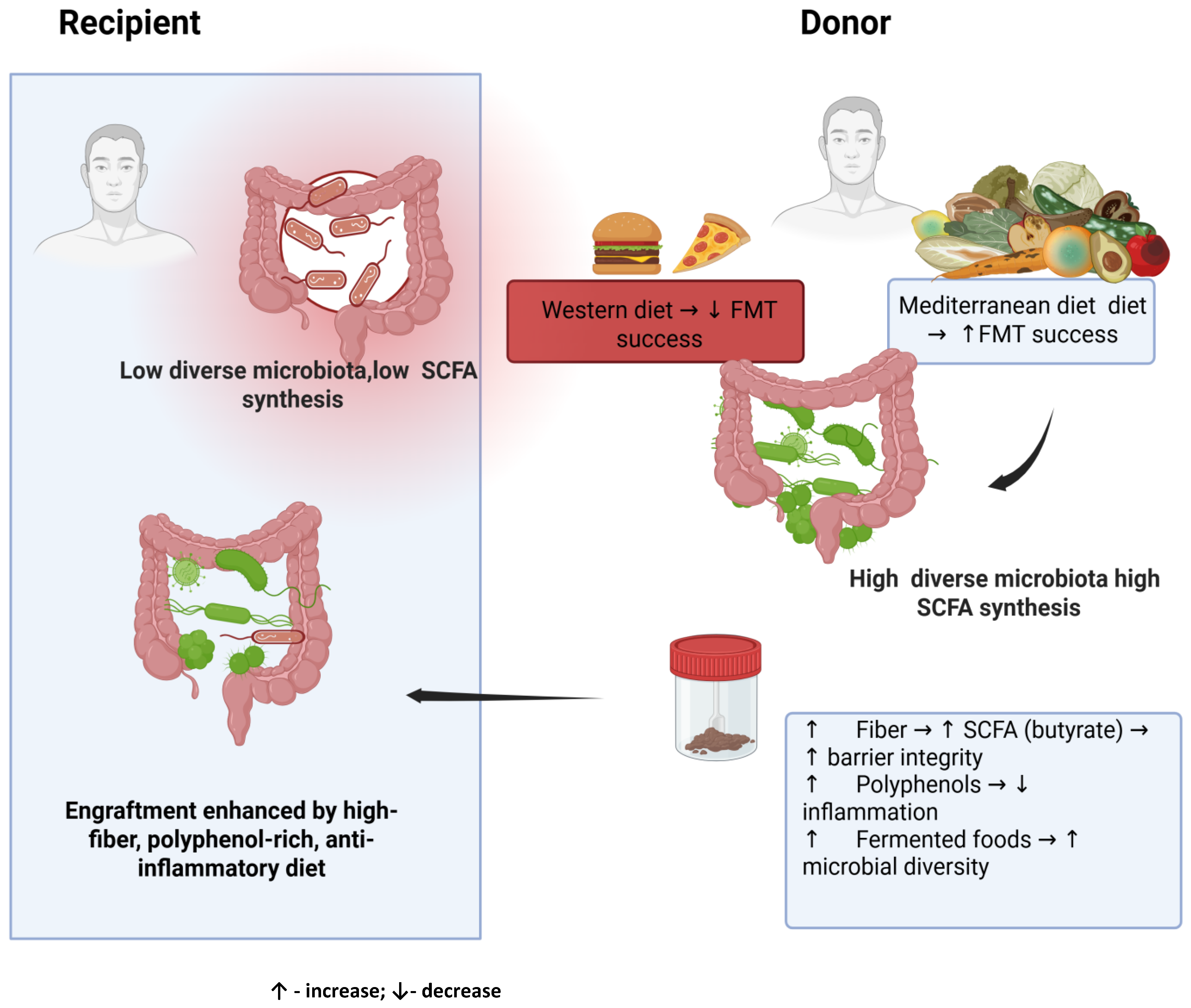Nutrients 17 03314 g001 Nutrients 17 03314 g001