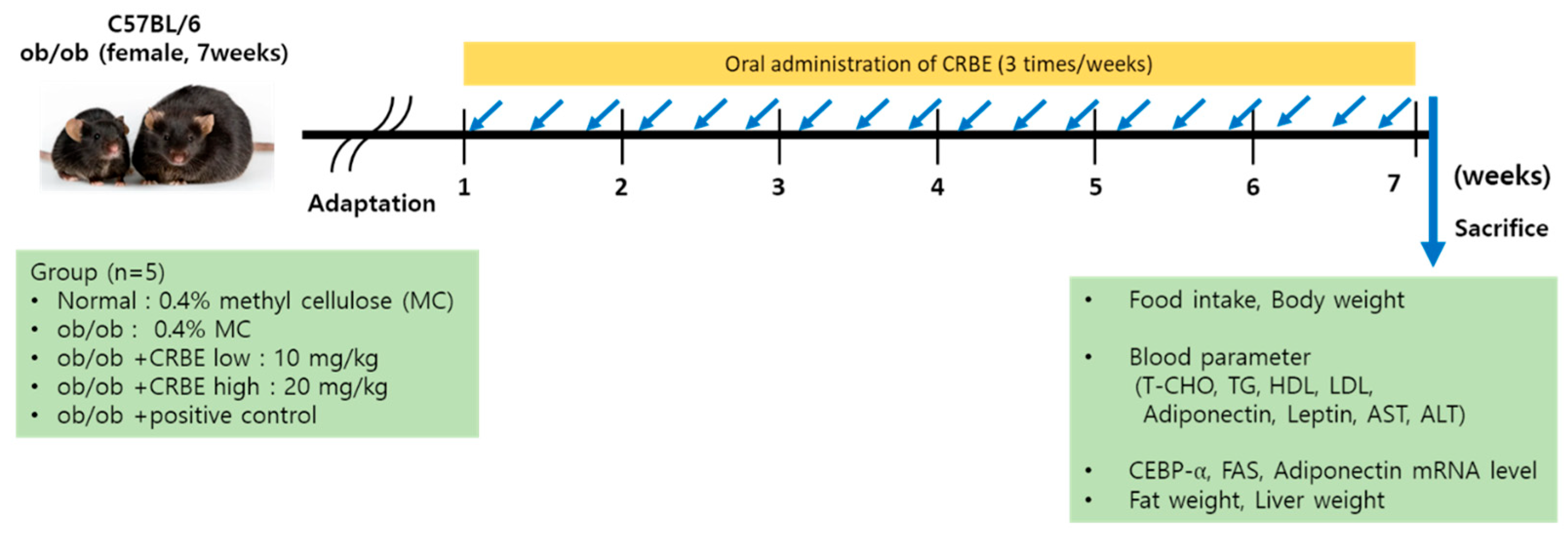 Nutrients 17 03322 g001