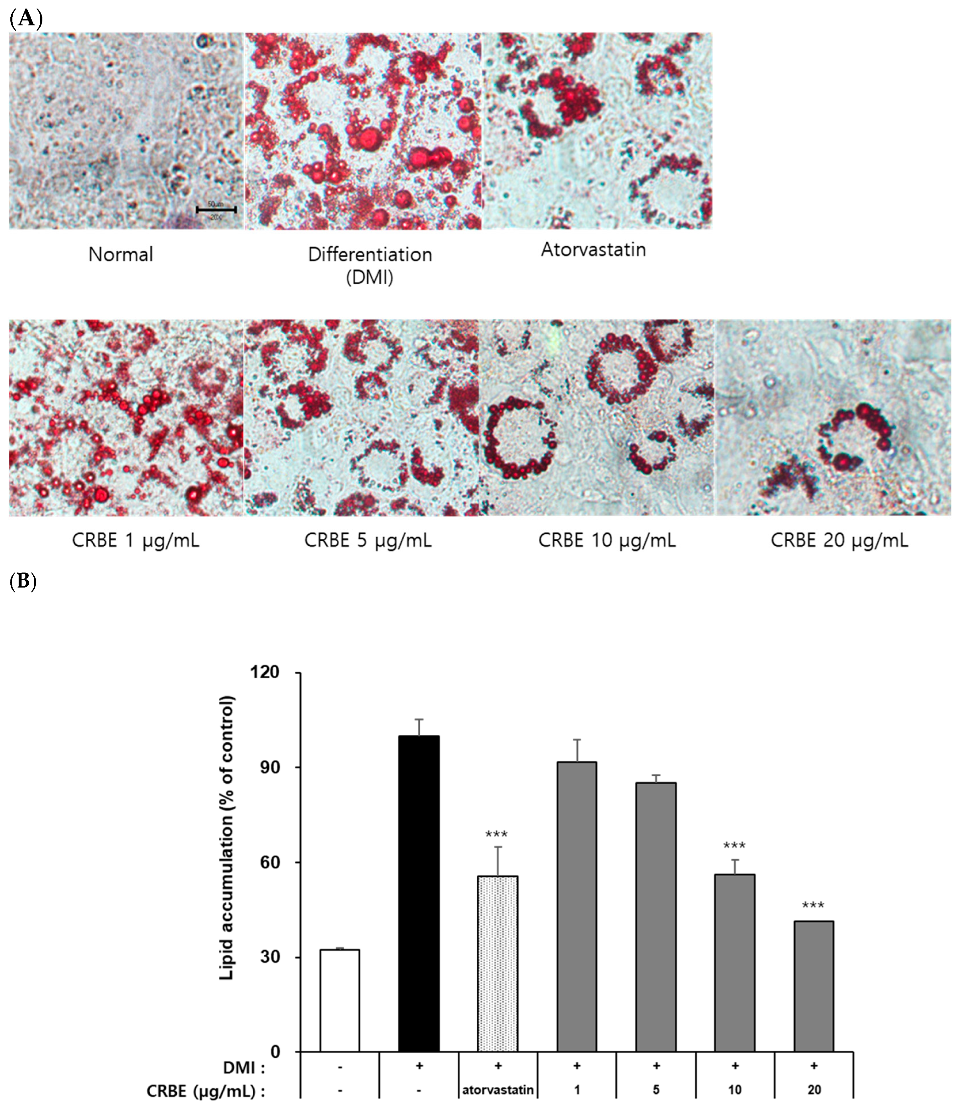 Nutrients 17 03322 g004