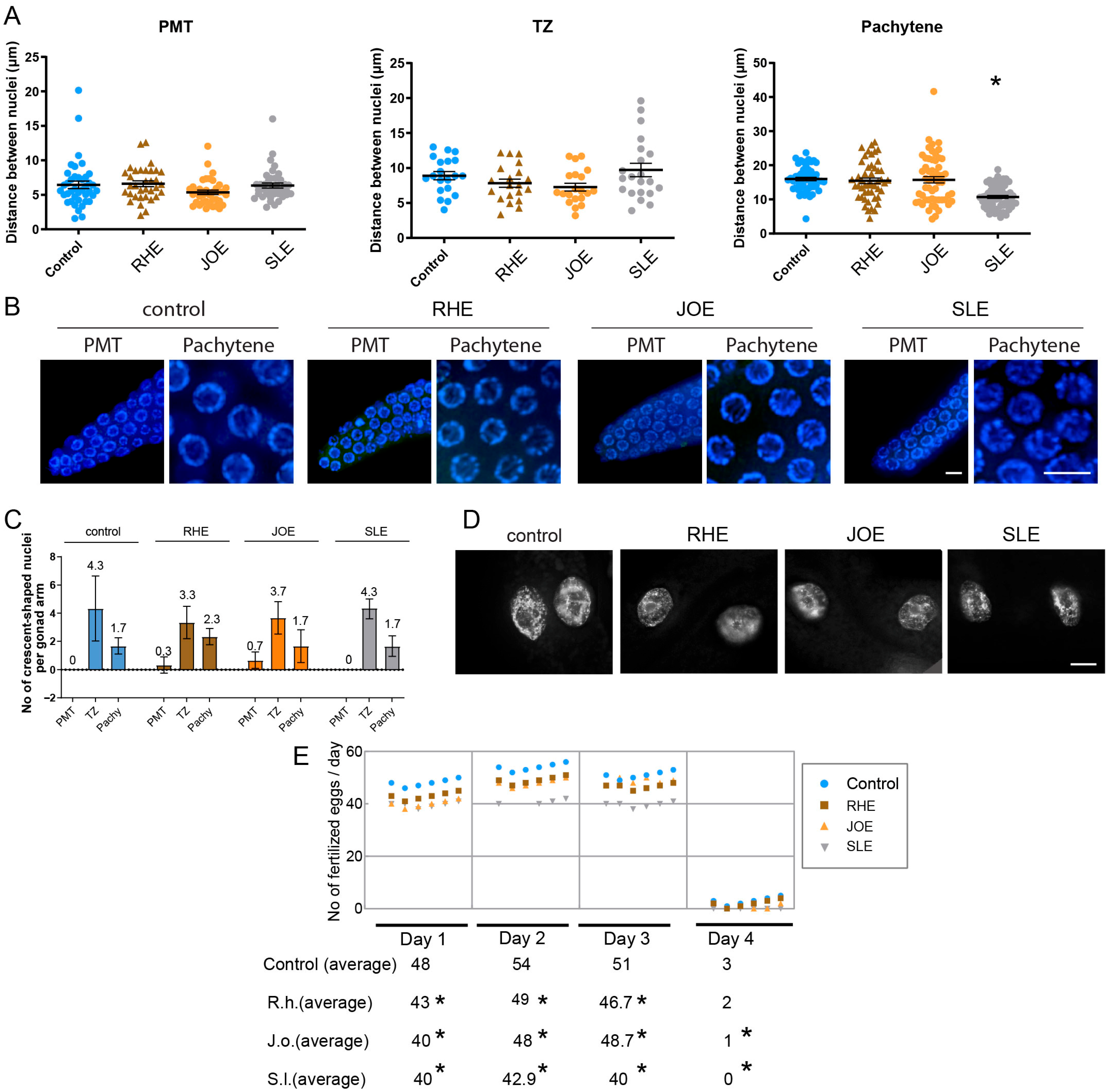 Nutrients 17 03337 g004