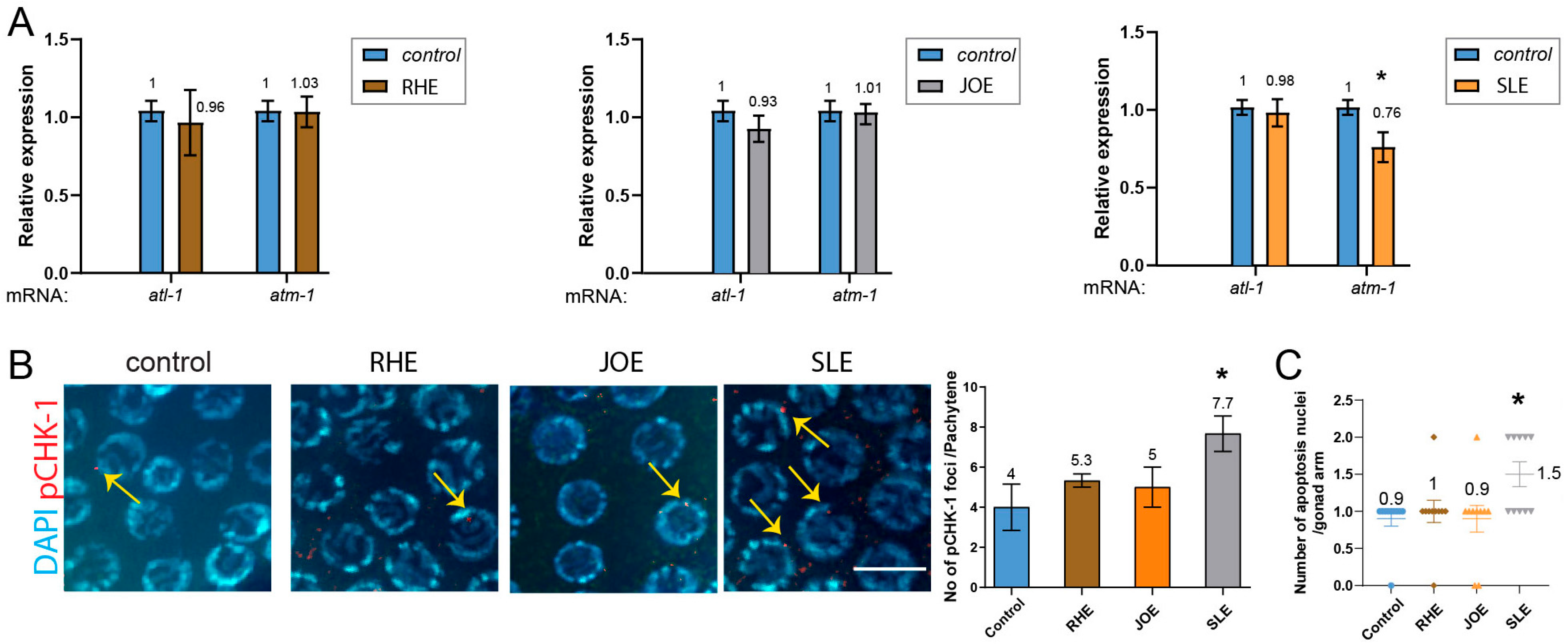 Nutrients 17 03337 g005