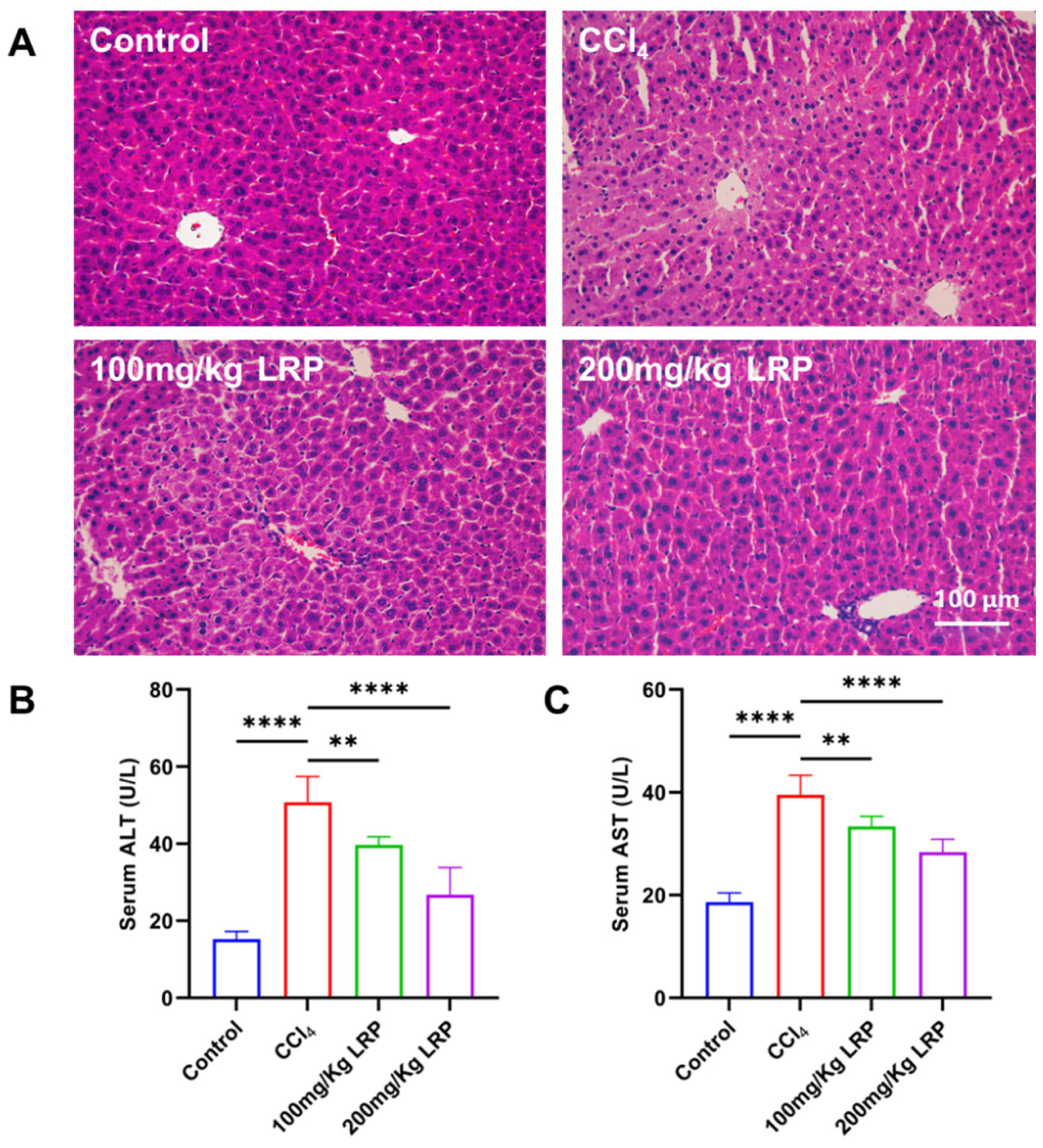 Nutrients 17 03359 g005 Nutrients 17 03359 g005