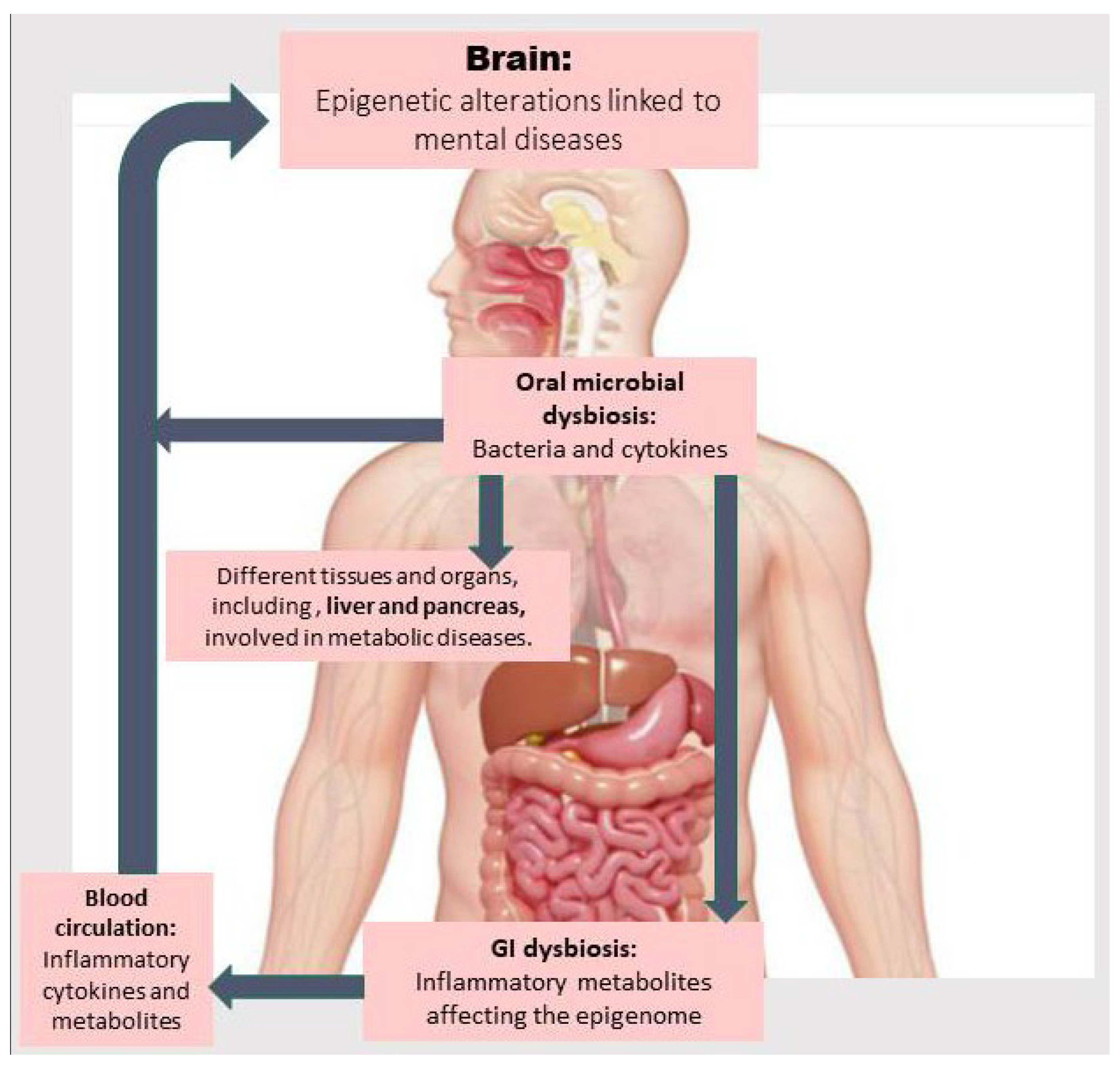 Nutrients 17 03367 g001 Nutrients 17 03367 g001