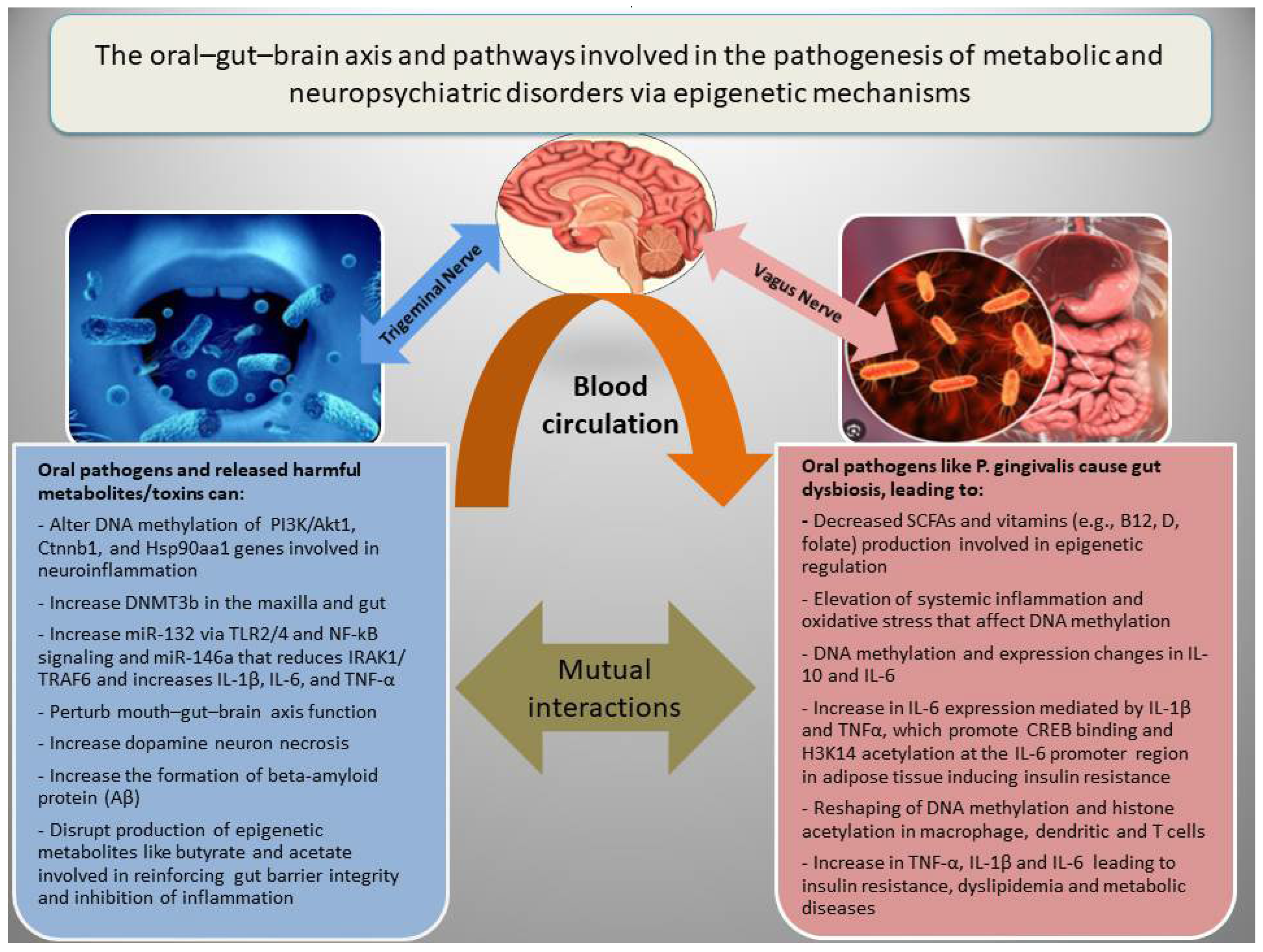Nutrients 17 03367 g002 Nutrients 17 03367 g002