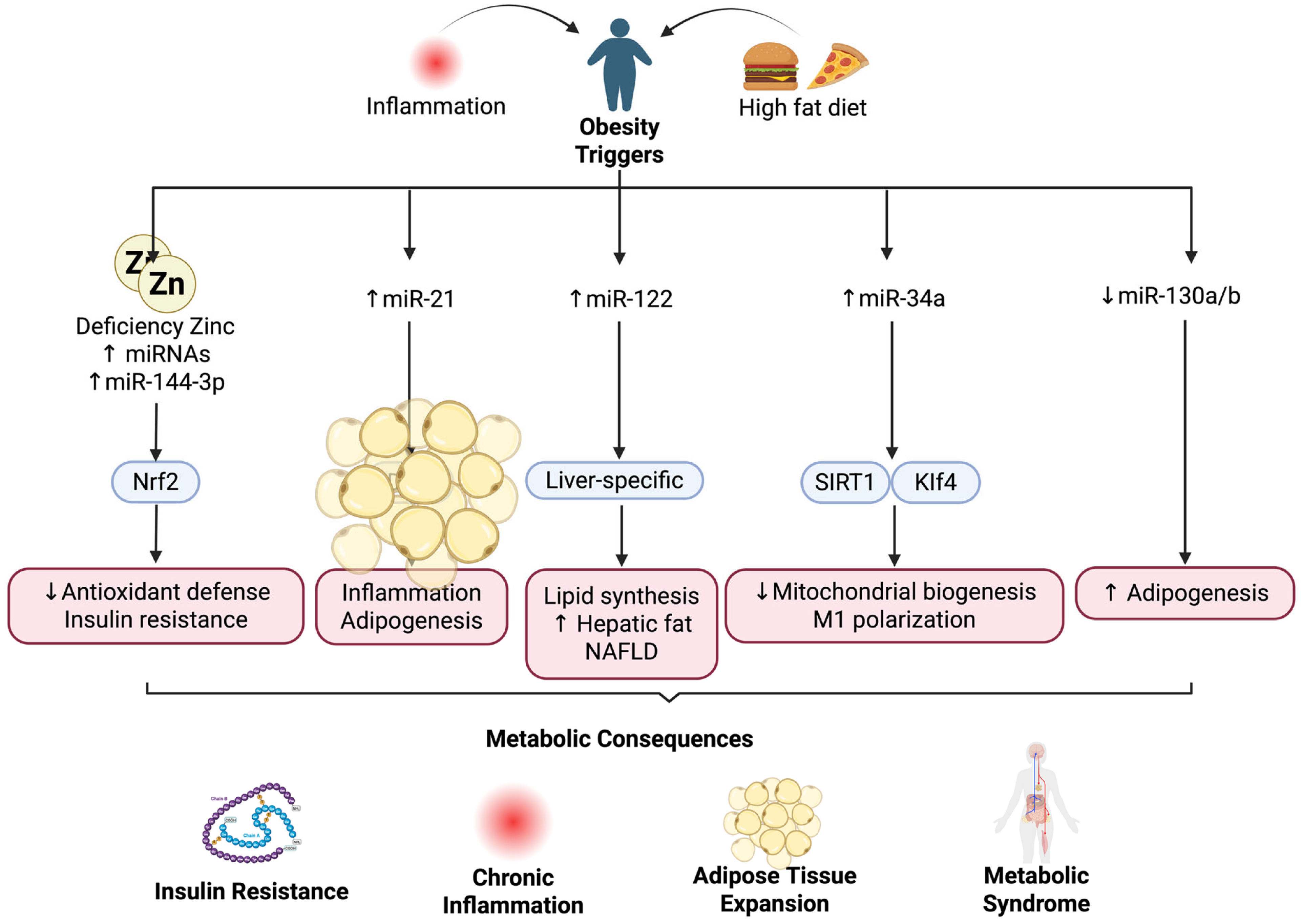 Nutrients 17 03375 g002 Nutrients 17 03375 g002