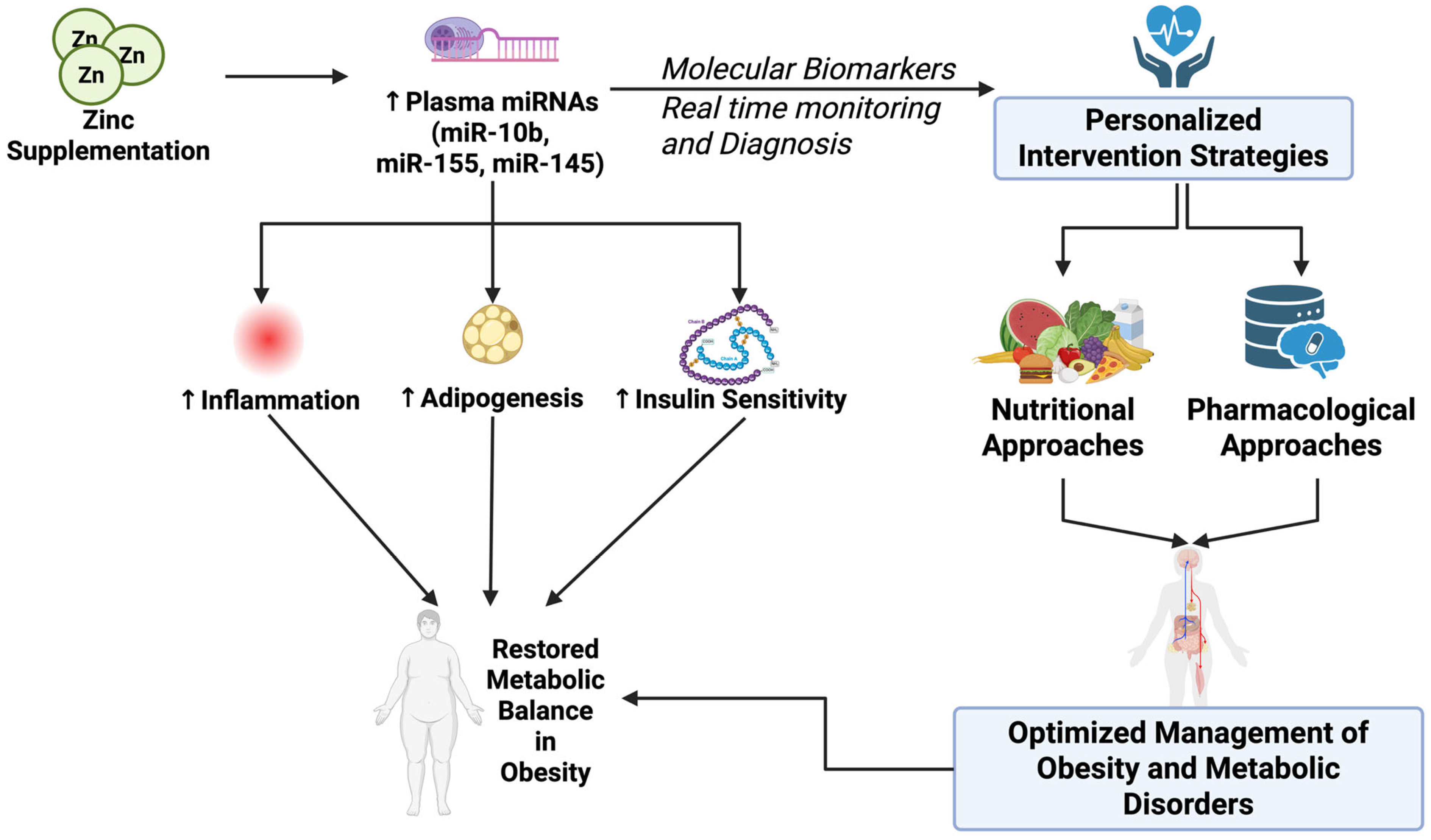 Nutrients 17 03375 g005 Nutrients 17 03375 g005