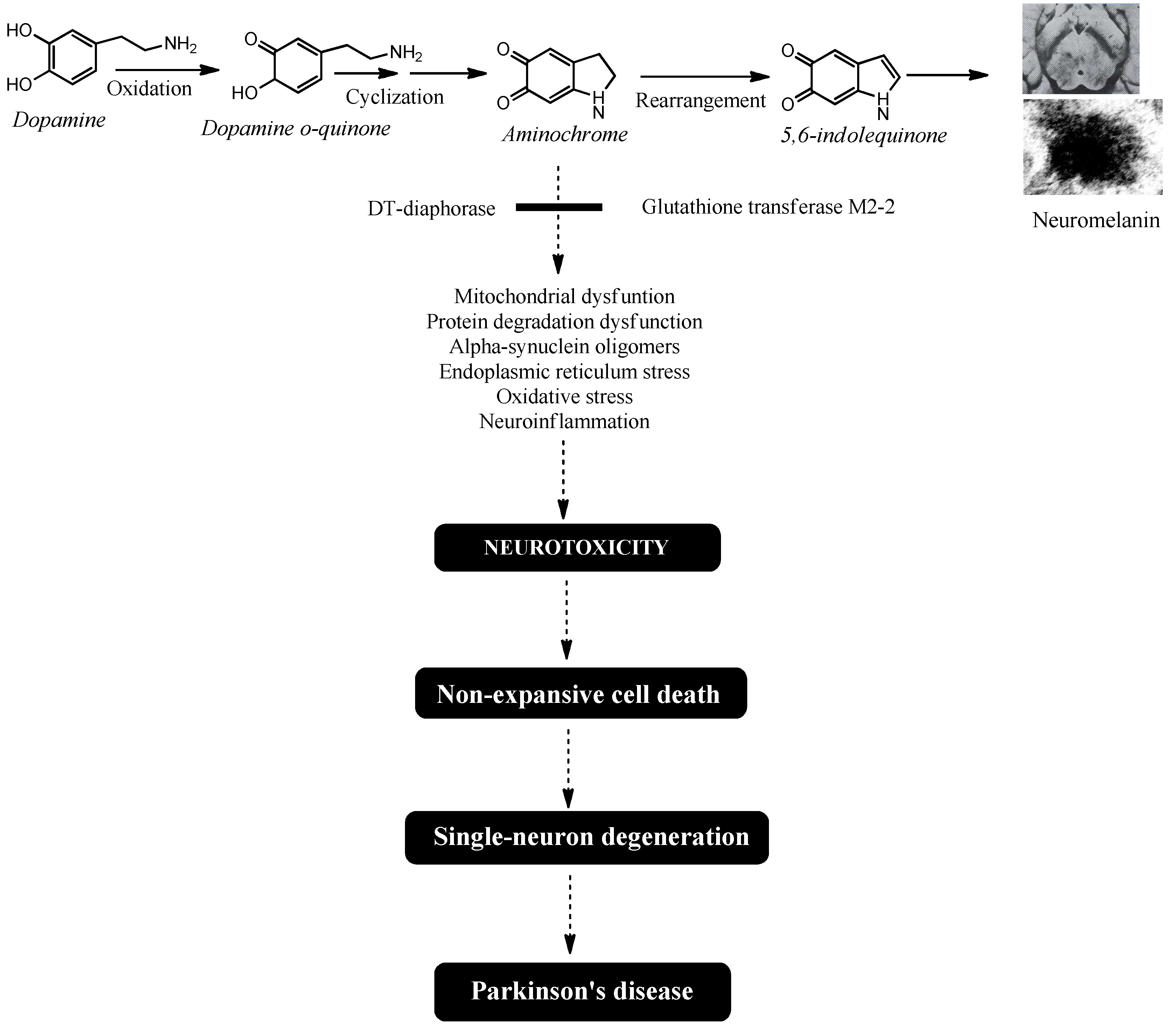 Nutrients 17 03376 g001 Nutrients 17 03376 g001