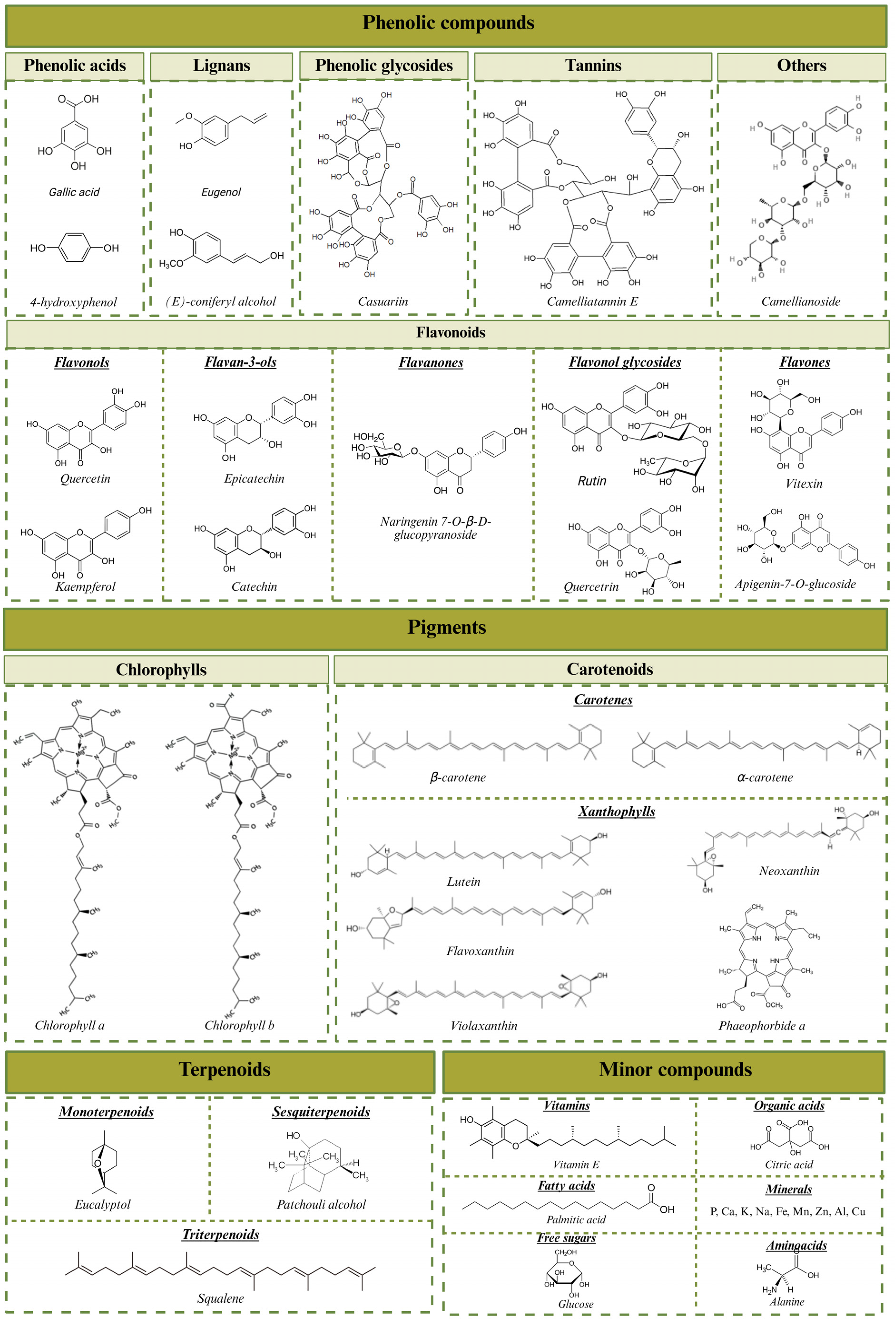 Nutrients 17 03382 g001