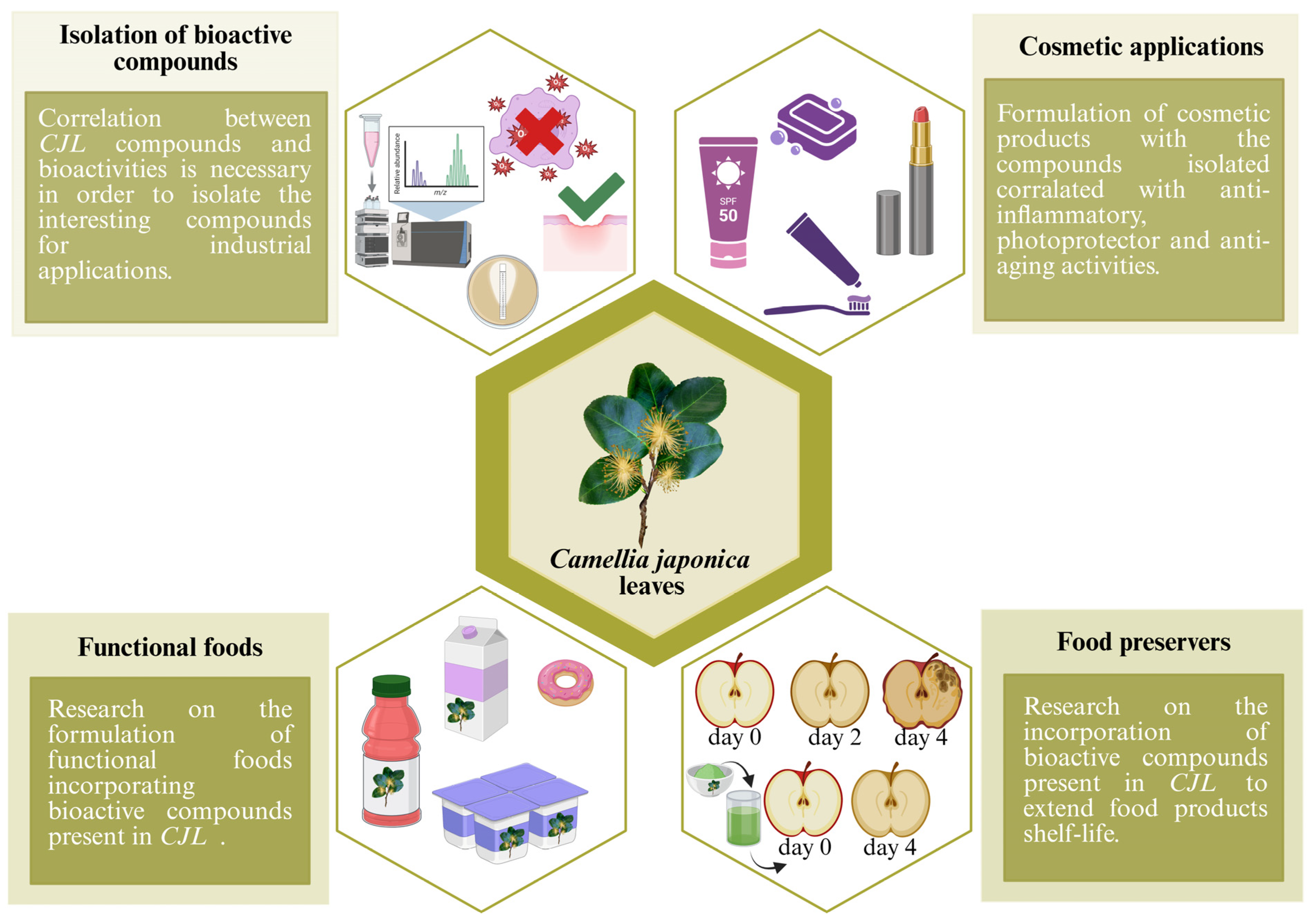 Nutrients 17 03382 g003