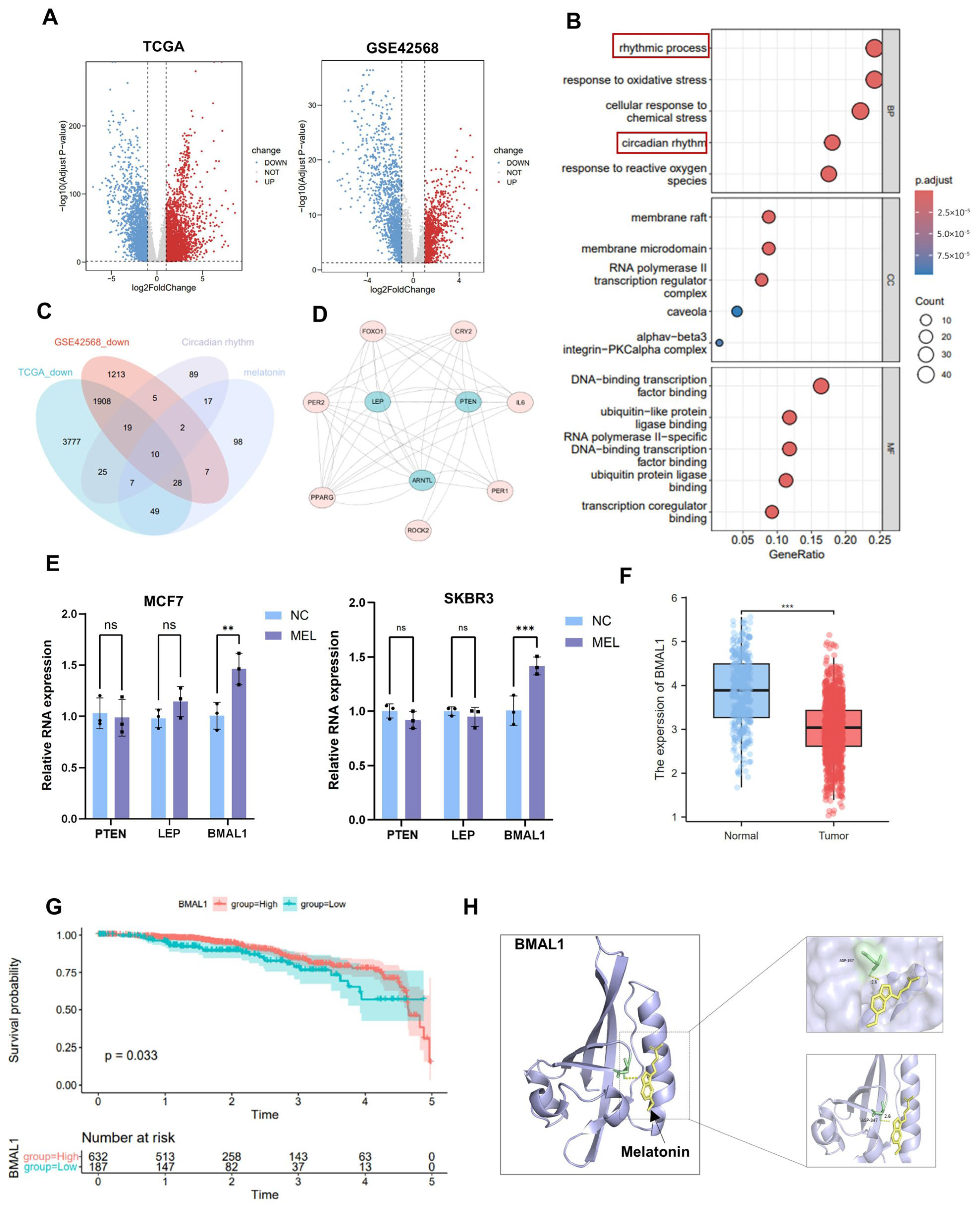 Nutrients 17 03386 g002 Nutrients 17 03386 g002