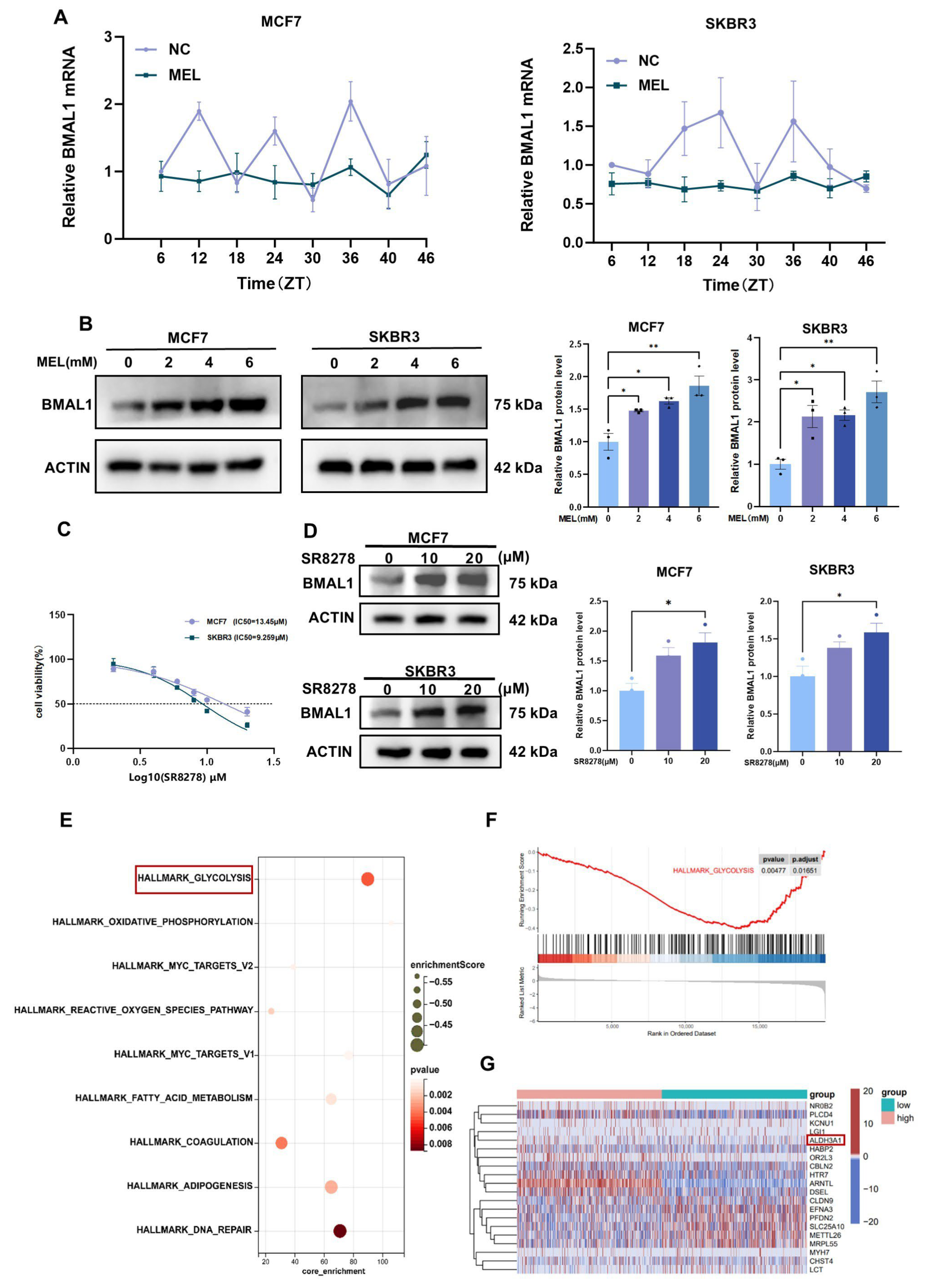 Nutrients 17 03386 g003 Nutrients 17 03386 g003