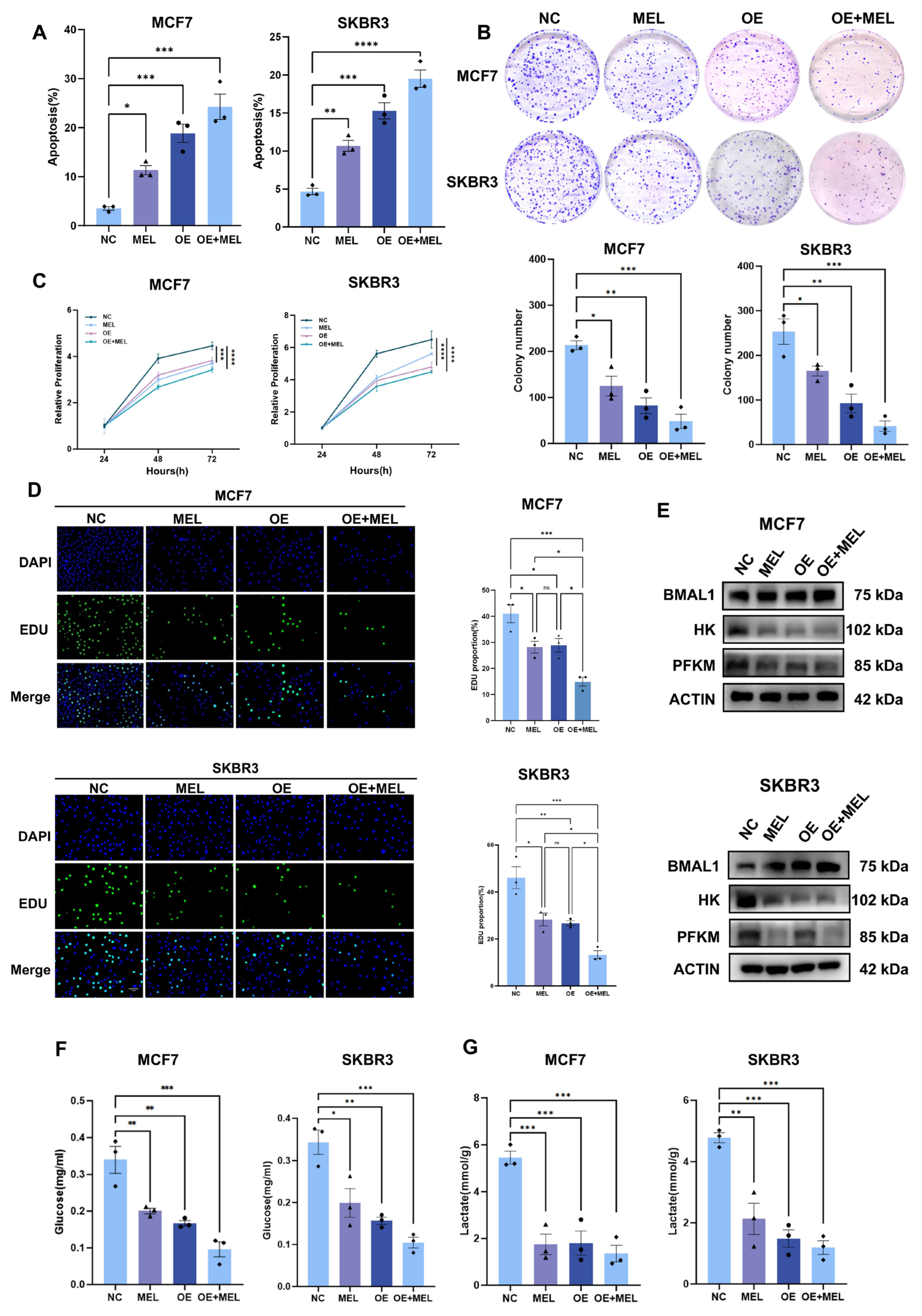 Nutrients 17 03386 g004 Nutrients 17 03386 g004