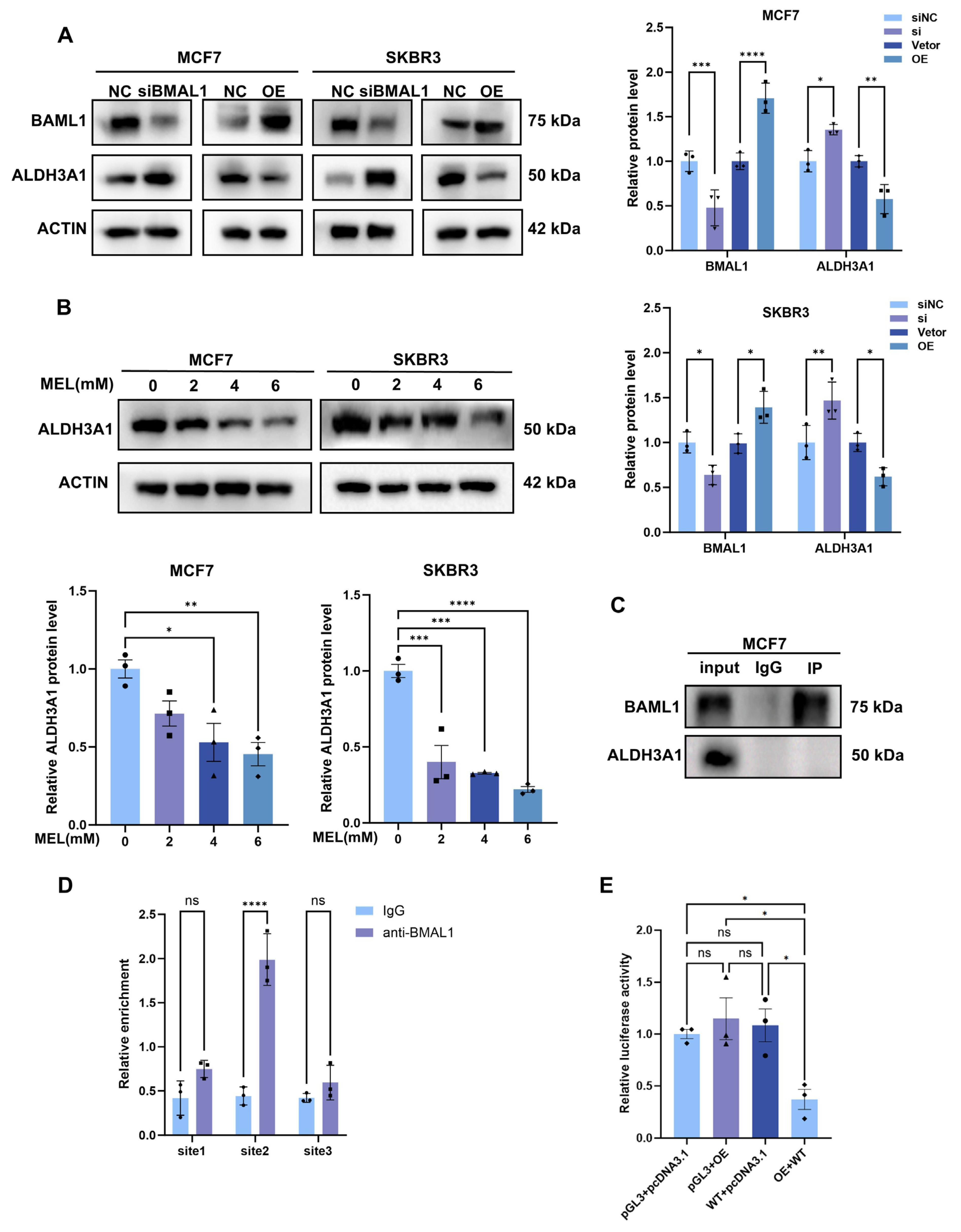 Nutrients 17 03386 g006 Nutrients 17 03386 g006
