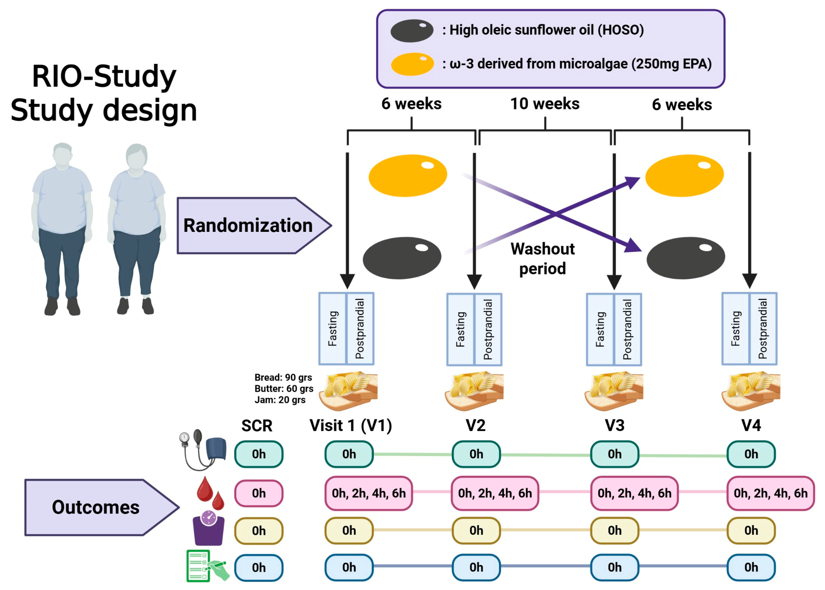 Nutrients 17 03397 g001 Nutrients 17 03397 g001
