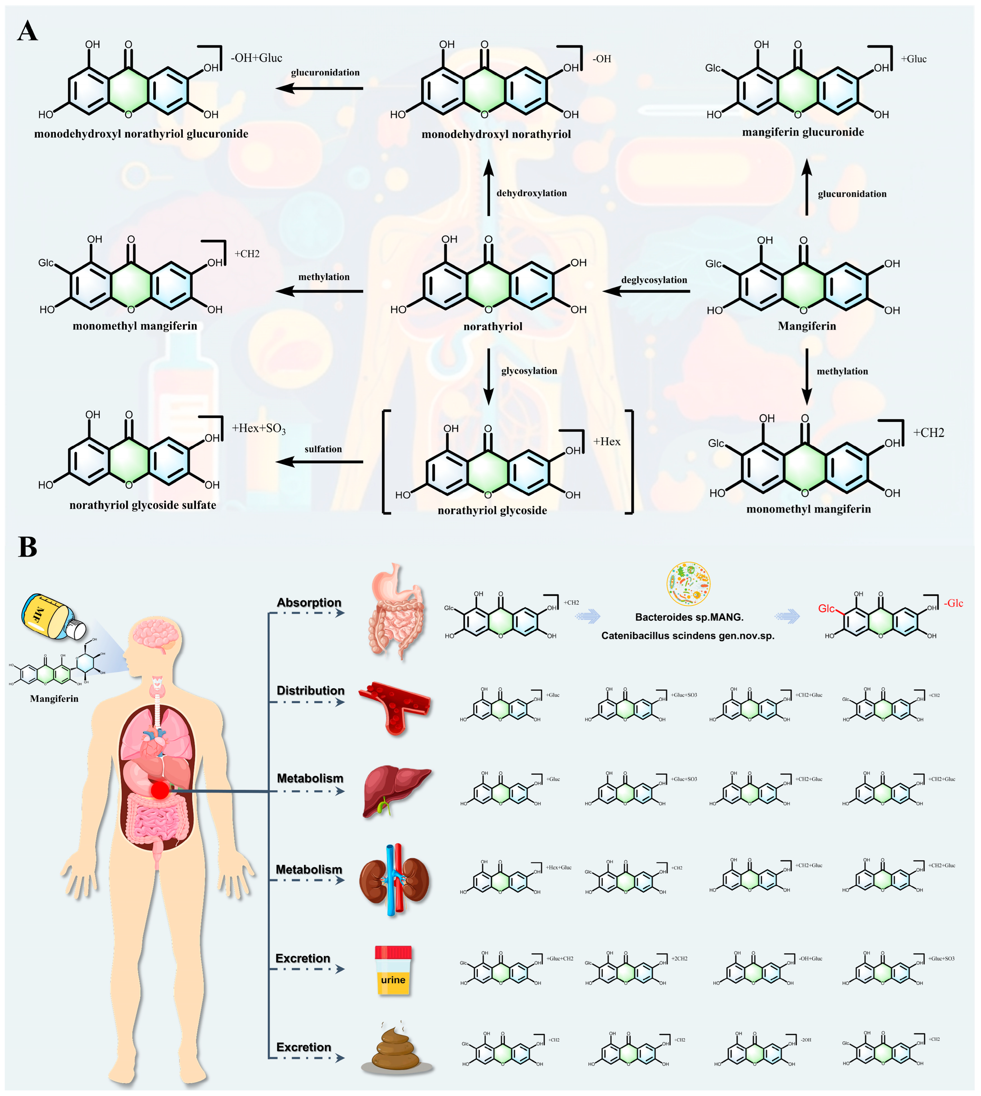 Nutrients 17 03401 g006 Nutrients 17 03401 g006