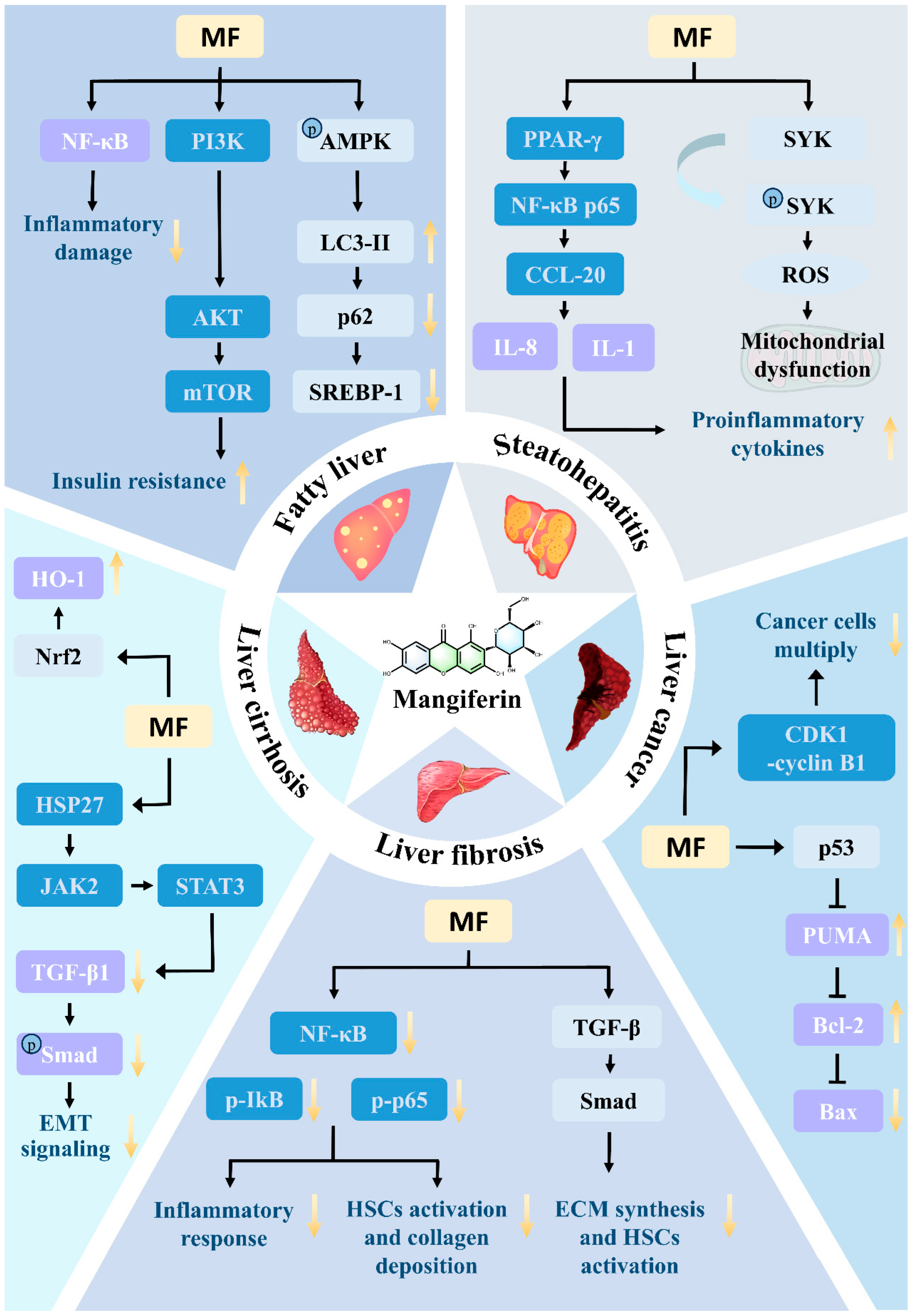 Nutrients 17 03401 g010 Nutrients 17 03401 g010