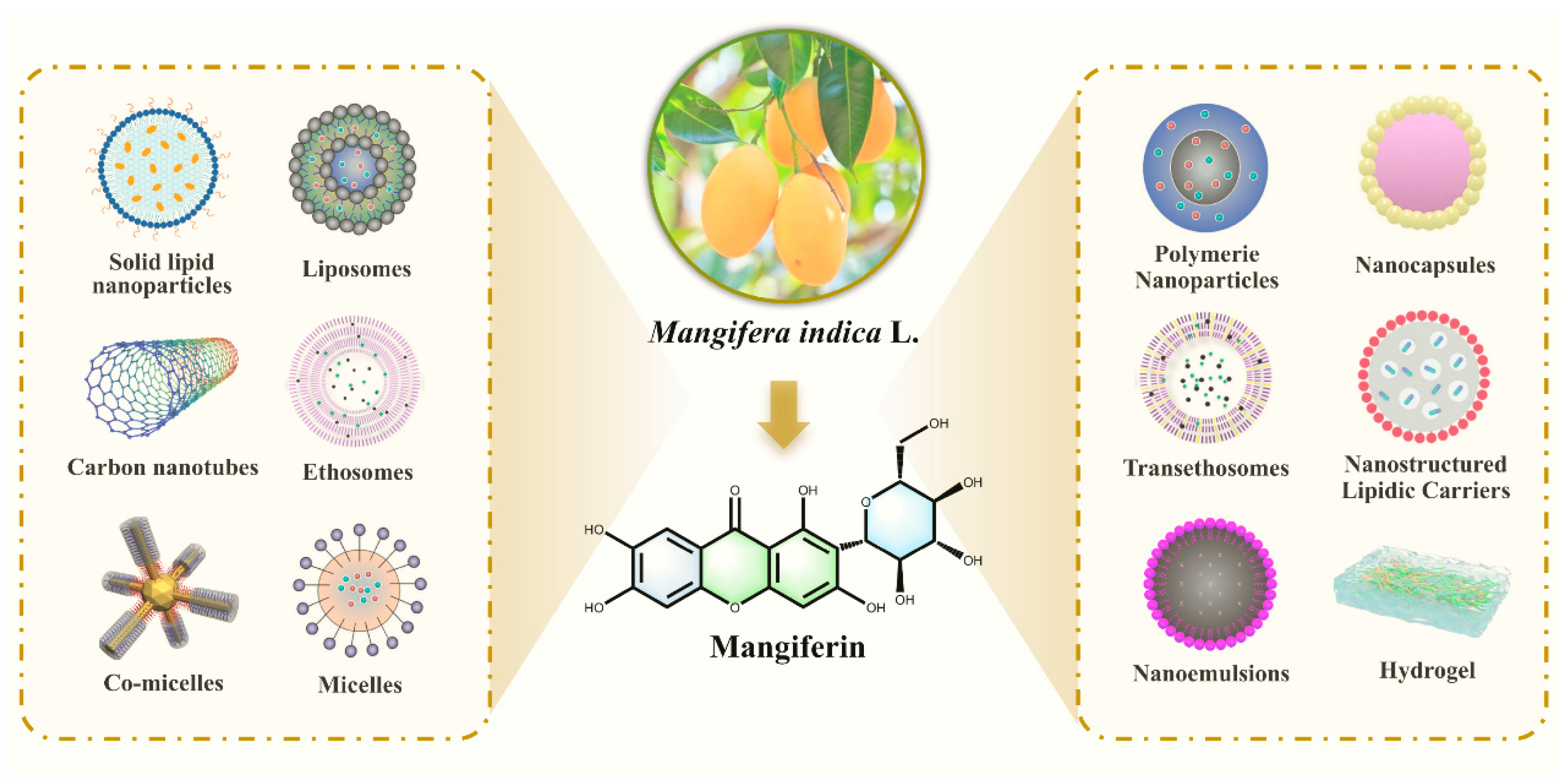Nutrients 17 03401 g013 Nutrients 17 03401 g013