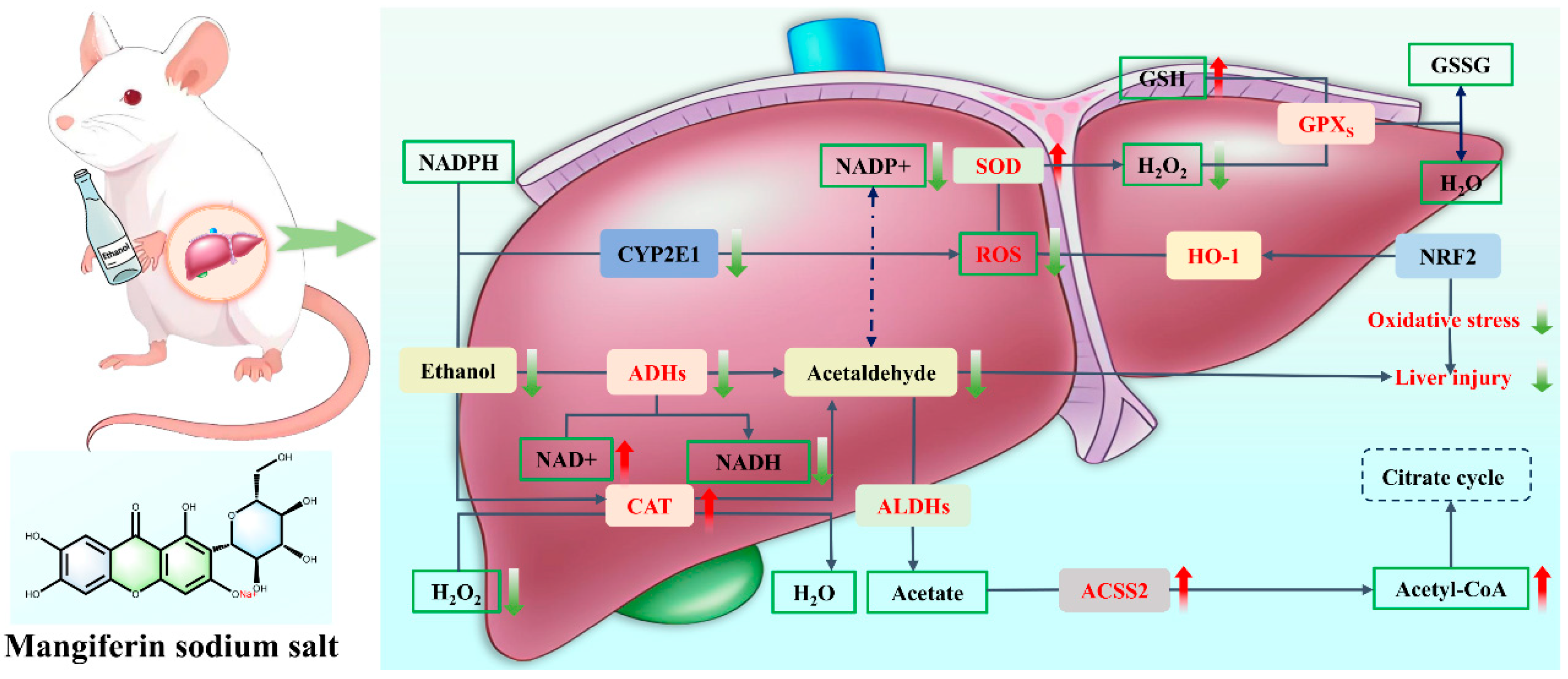 Nutrients 17 03401 g014 Nutrients 17 03401 g014