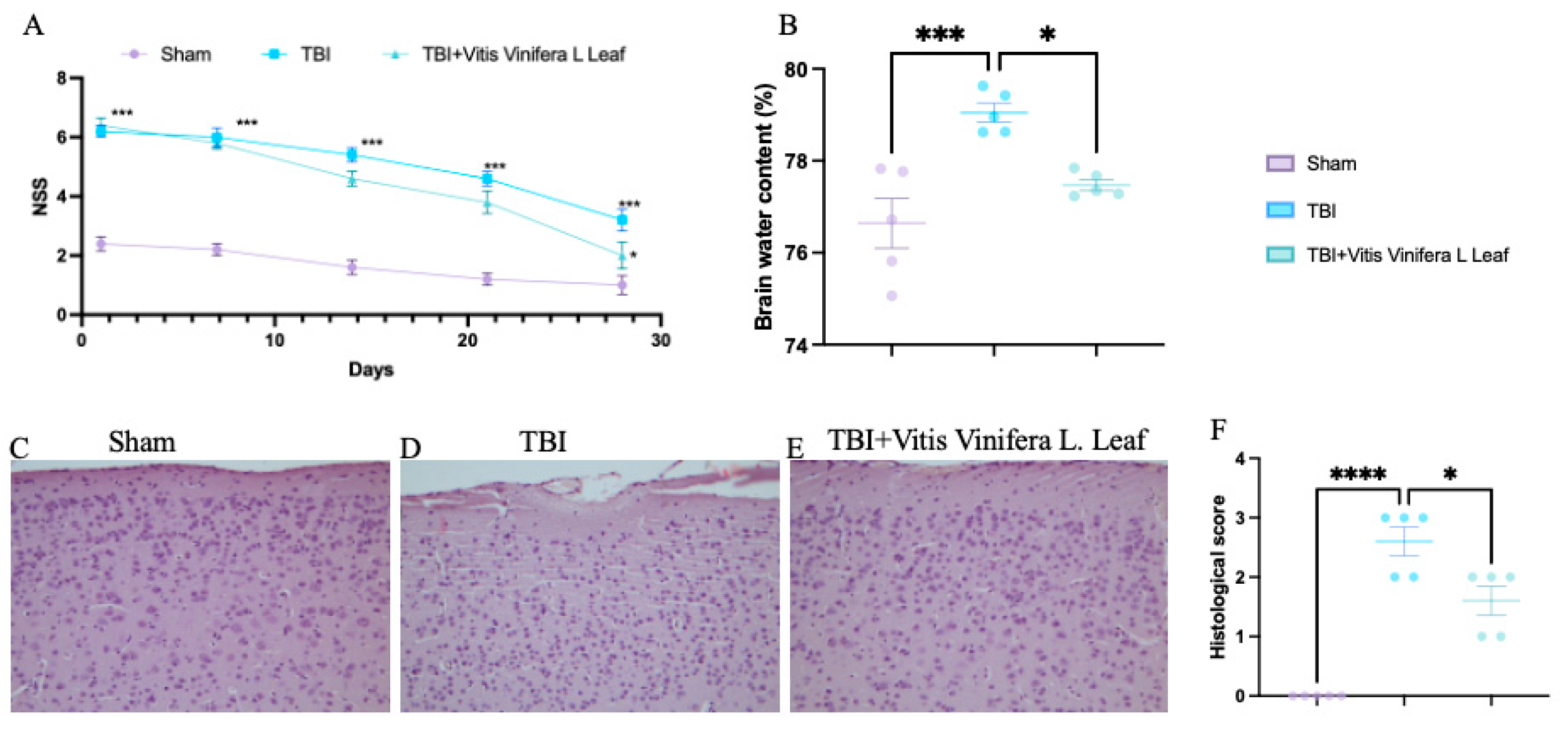 Nutrients 17 03404 g002