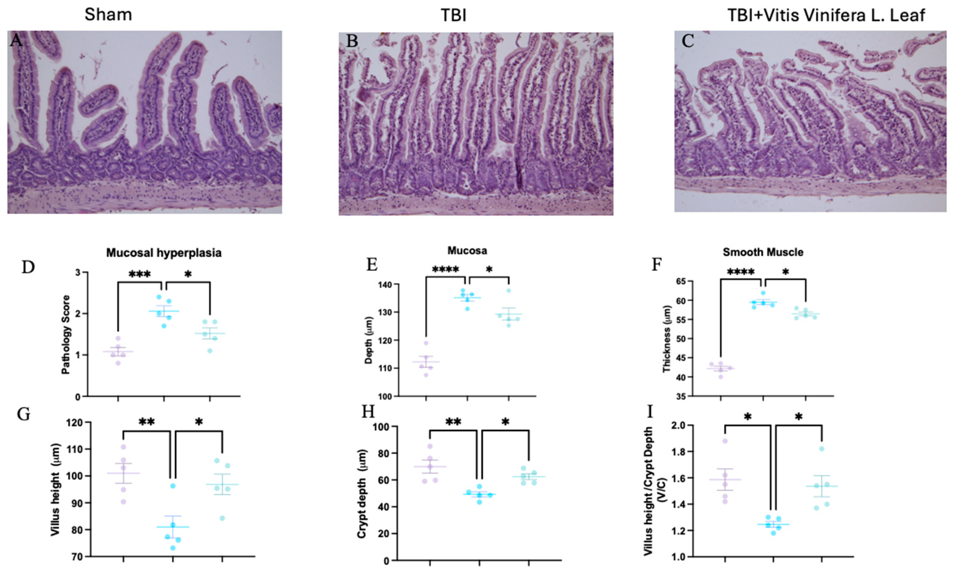 Nutrients 17 03404 g003