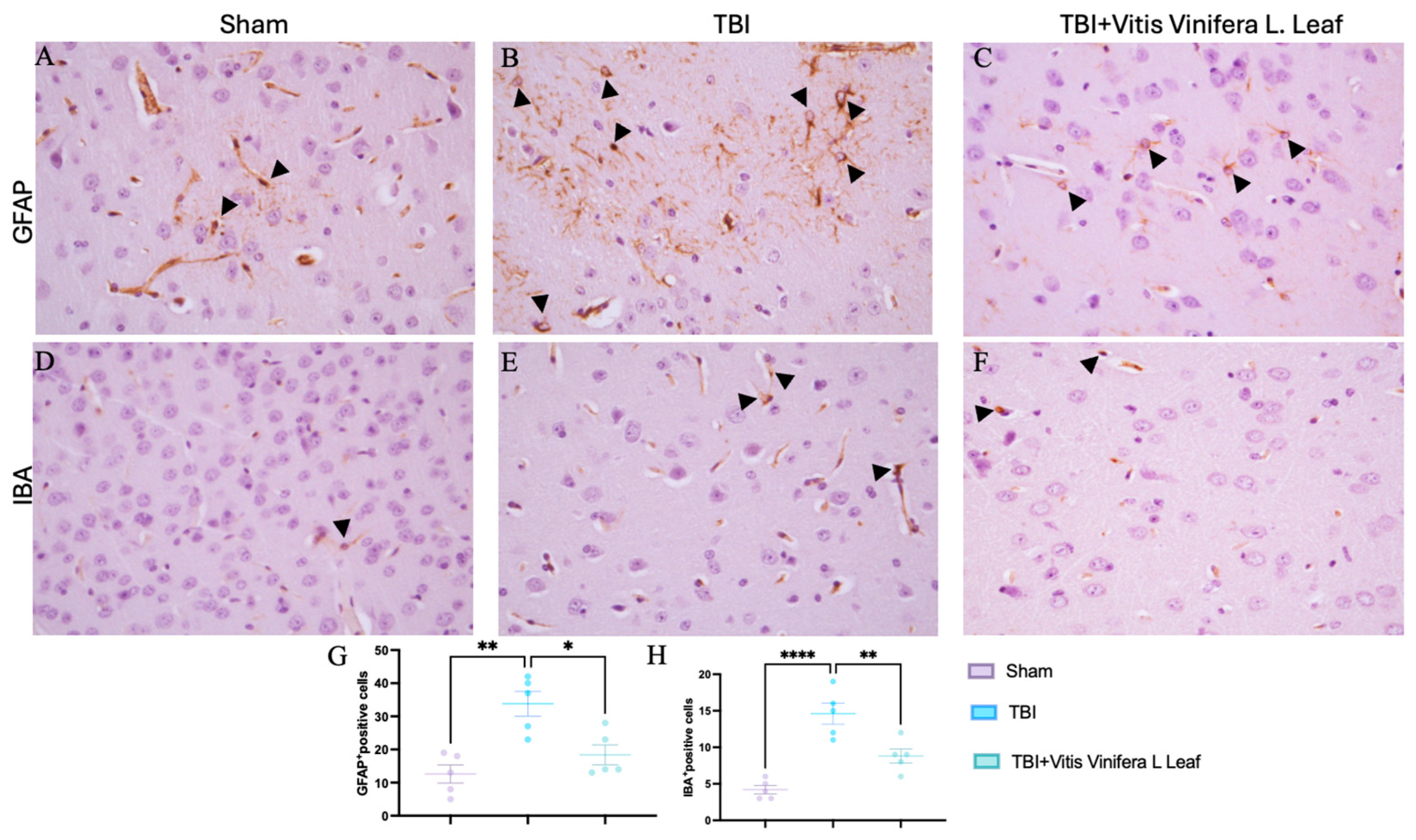 Nutrients 17 03404 g004