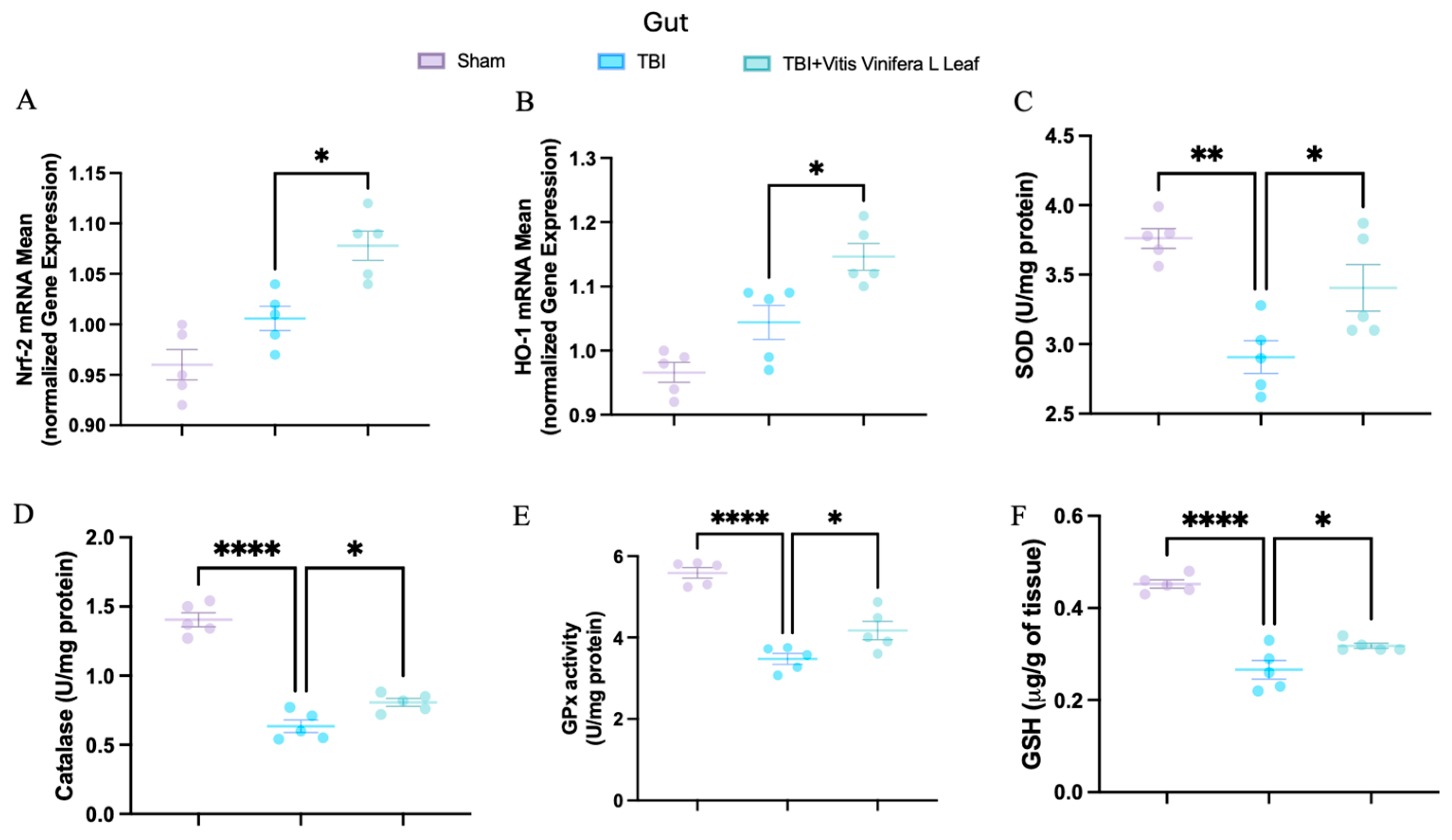 Nutrients 17 03404 g006