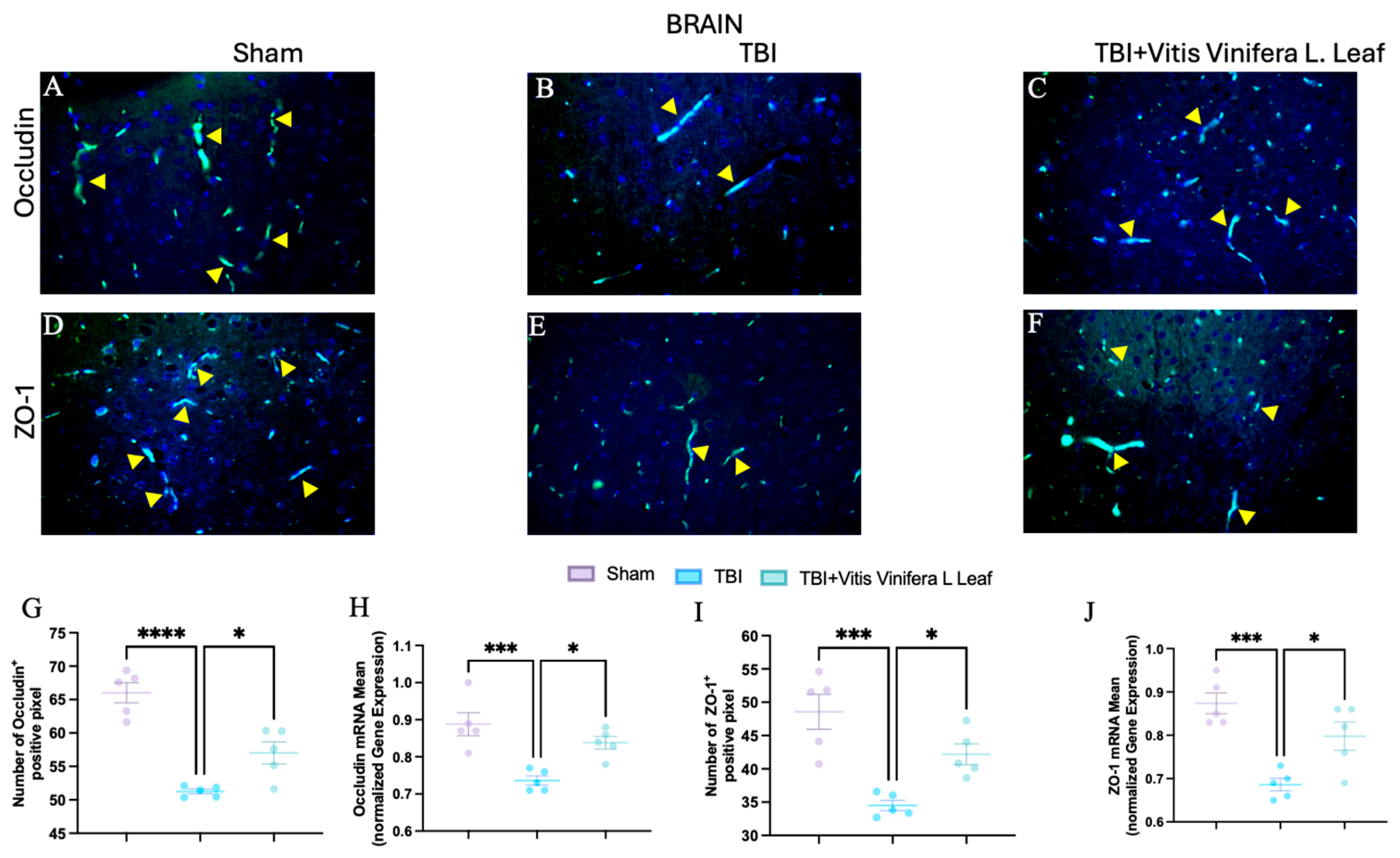Nutrients 17 03404 g007