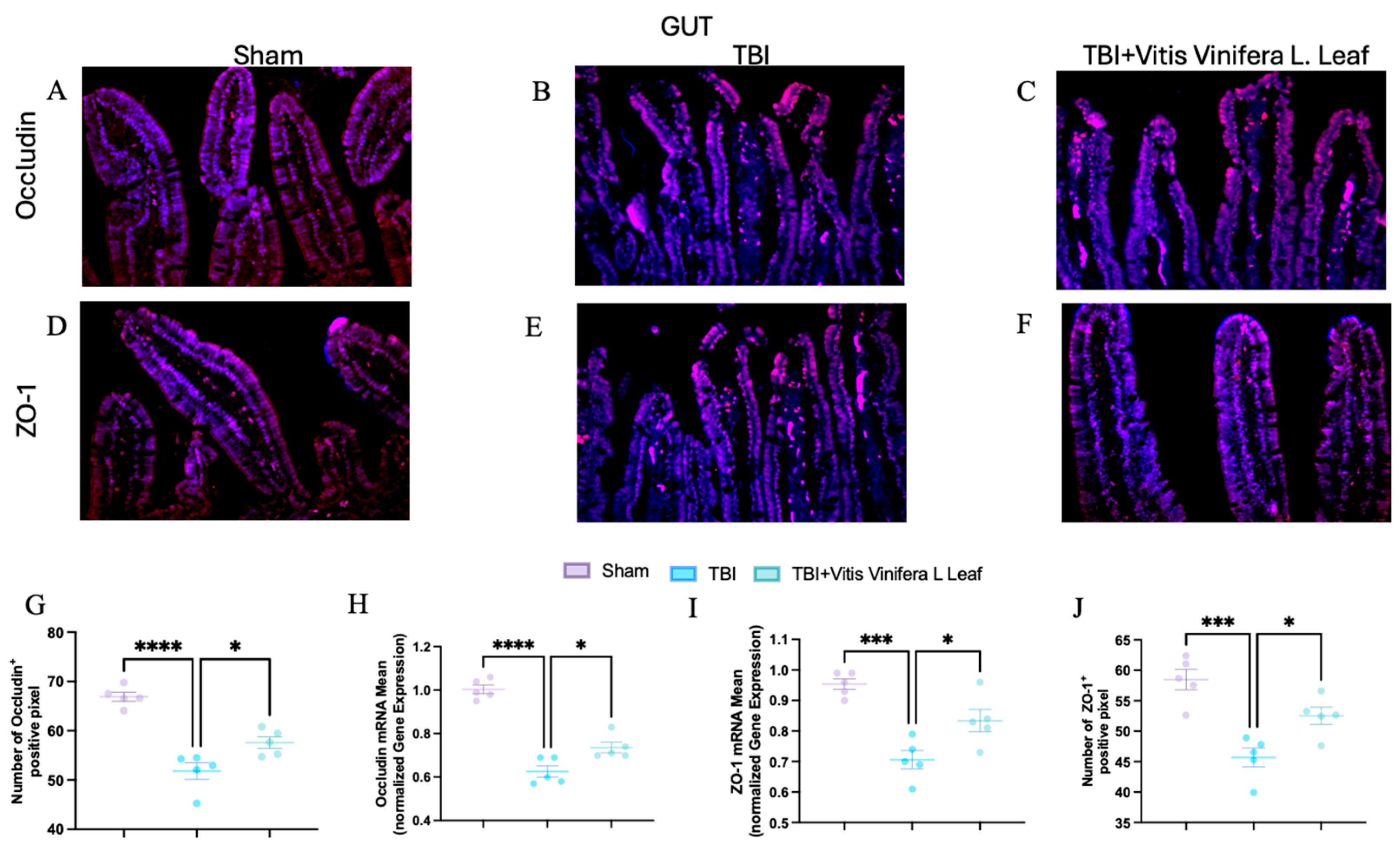 Nutrients 17 03404 g008