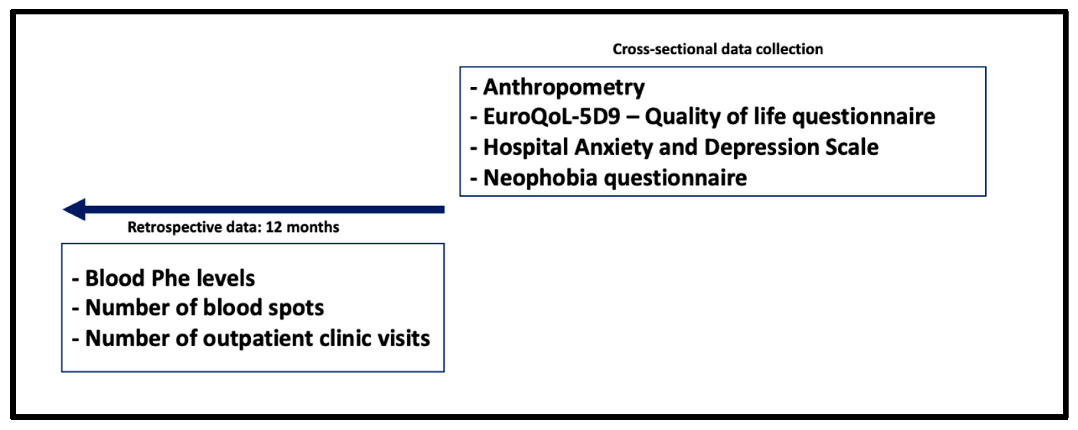 Nutrients 17 03409 g001 Nutrients 17 03409 g001
