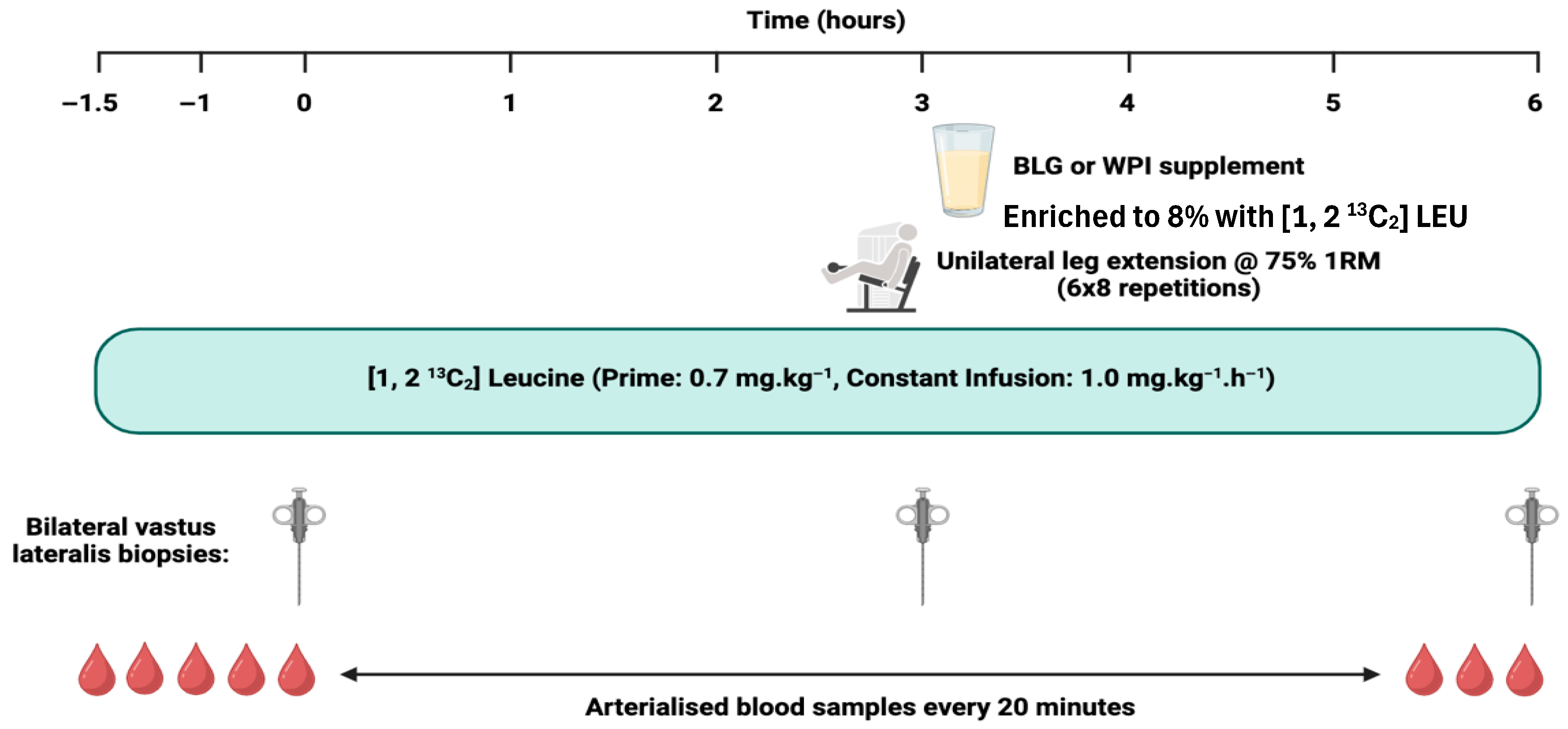Nutrients 17 03410 g001 Nutrients 17 03410 g001