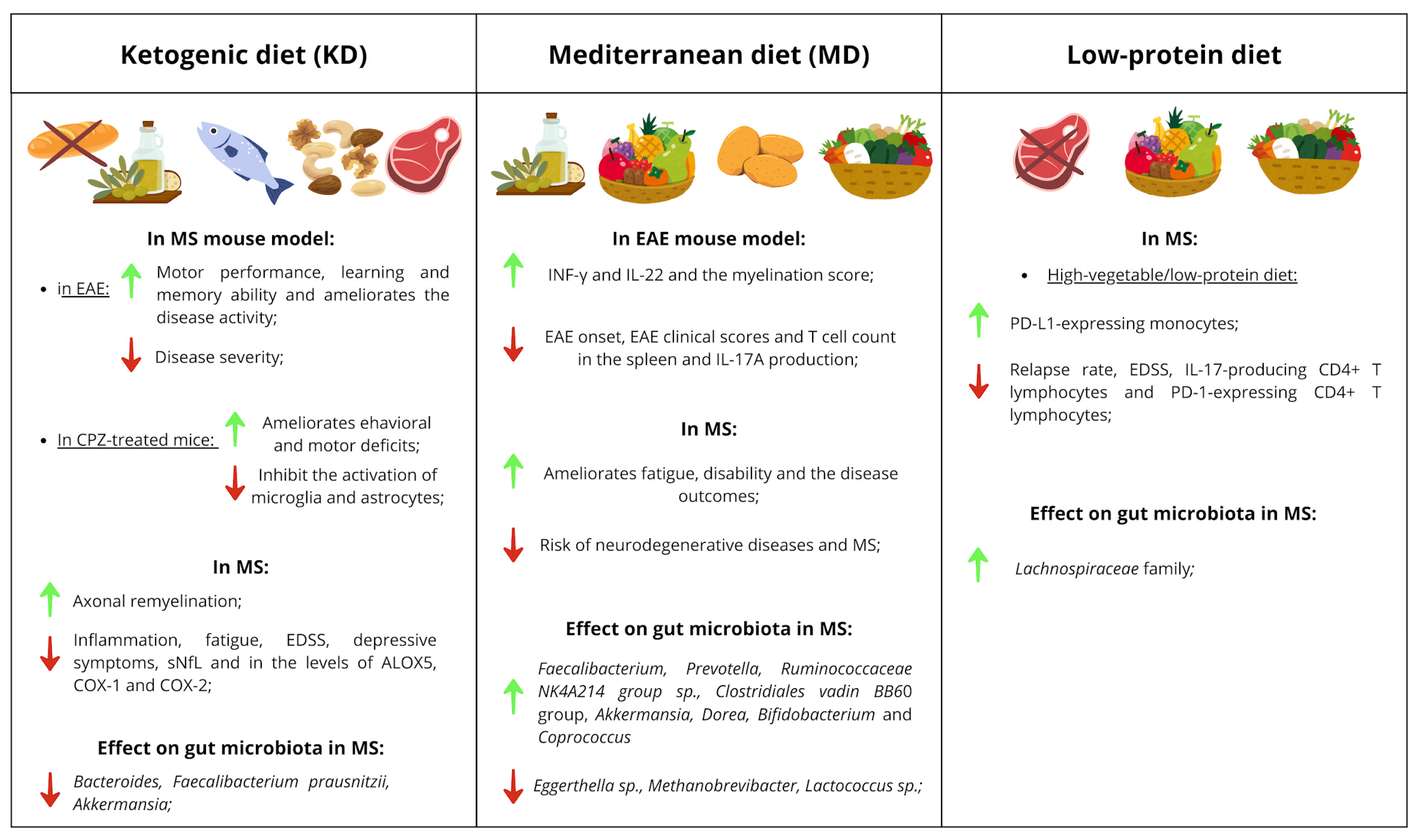 Nutrients 17 03414 g001 Nutrients 17 03414 g001