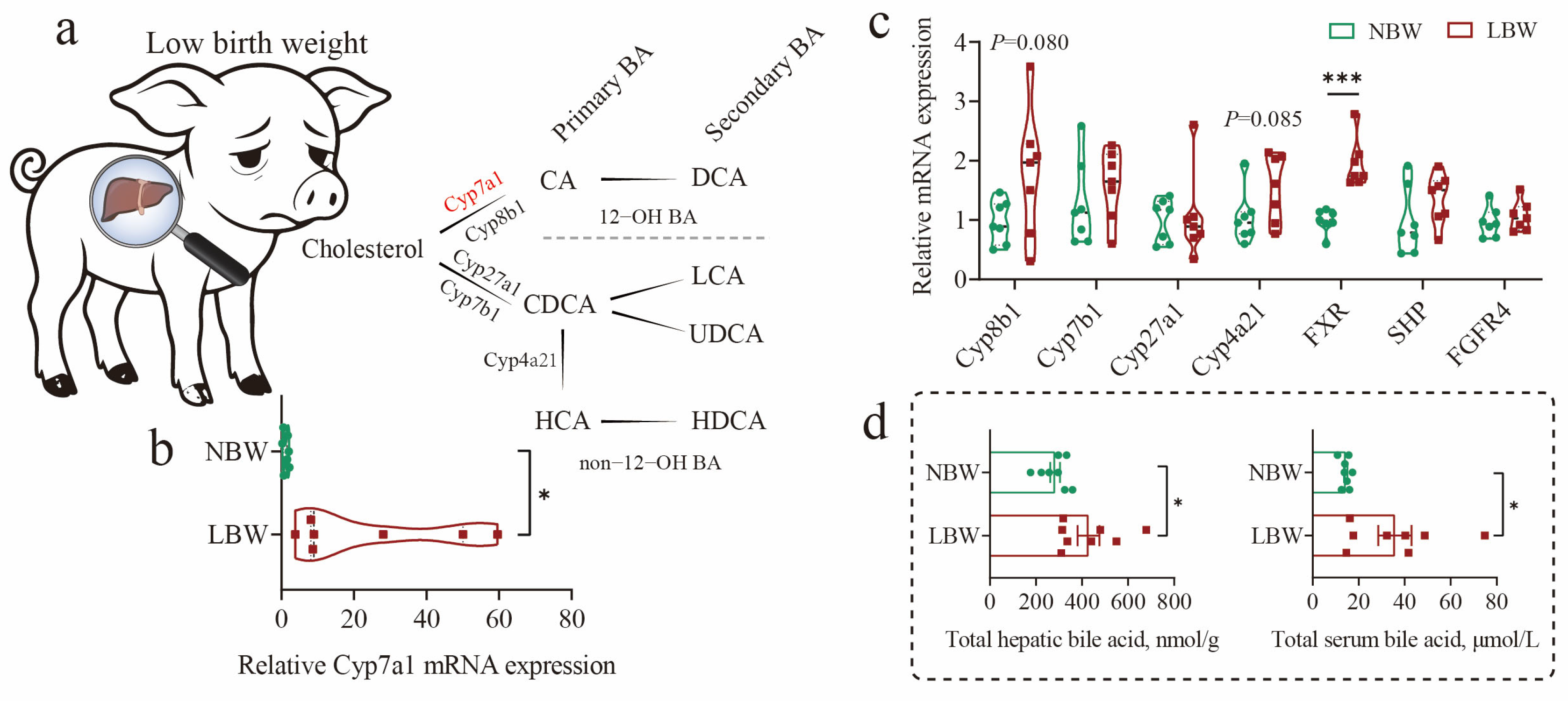 Nutrients 17 03415 g001a Nutrients 17 03415 g001a