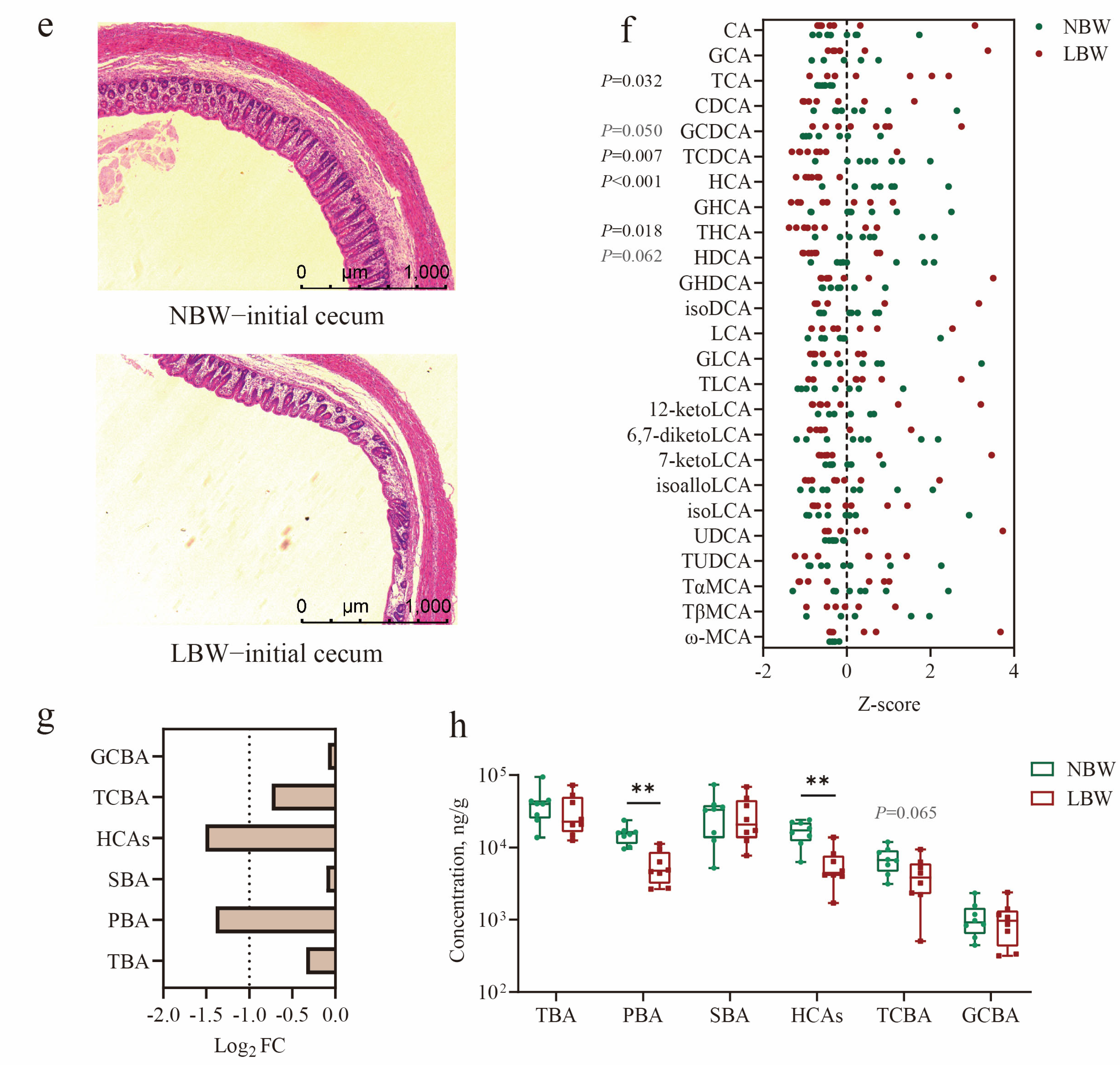 Nutrients 17 03415 g001b Nutrients 17 03415 g001b