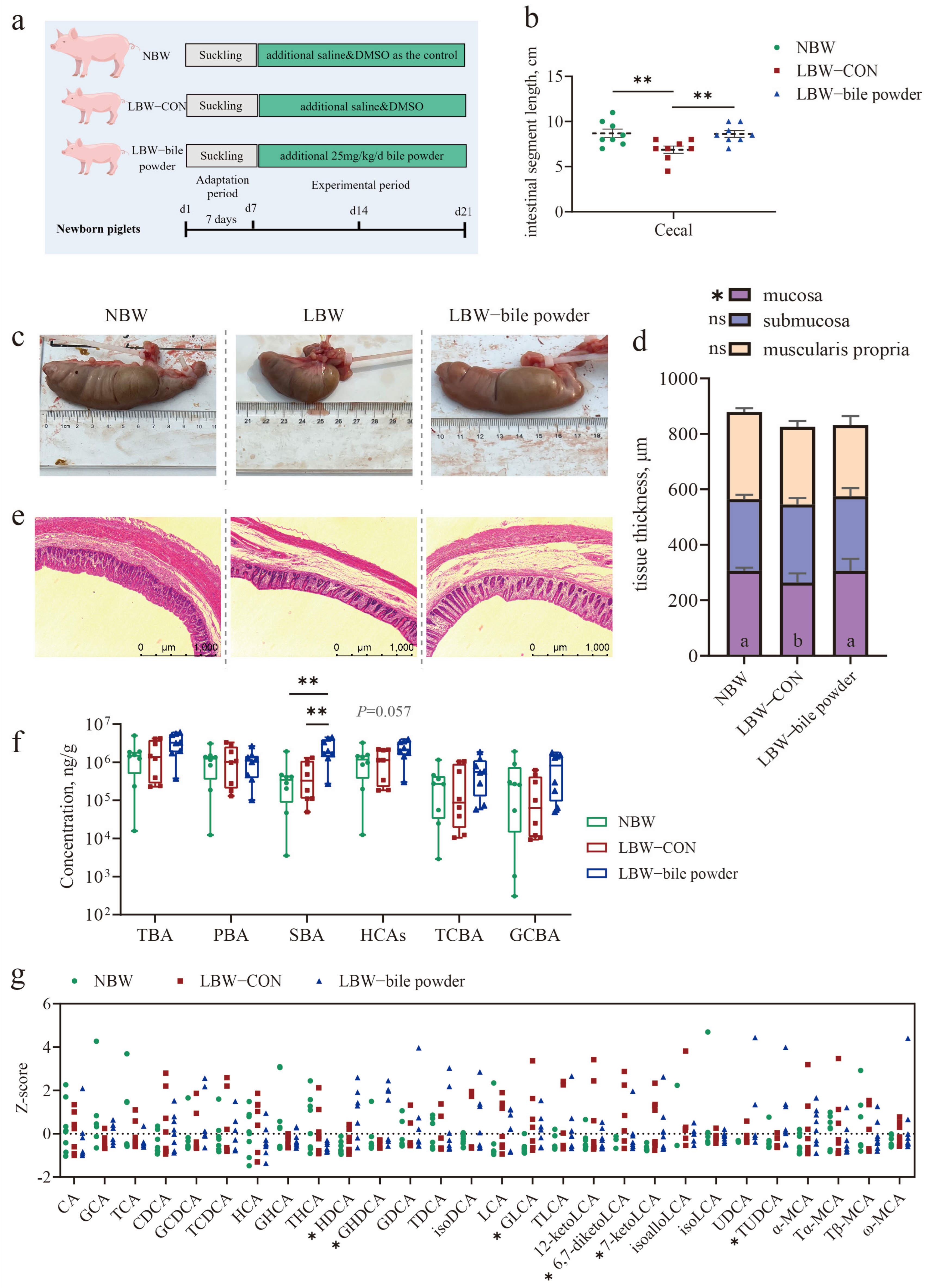 Nutrients 17 03415 g002 Nutrients 17 03415 g002