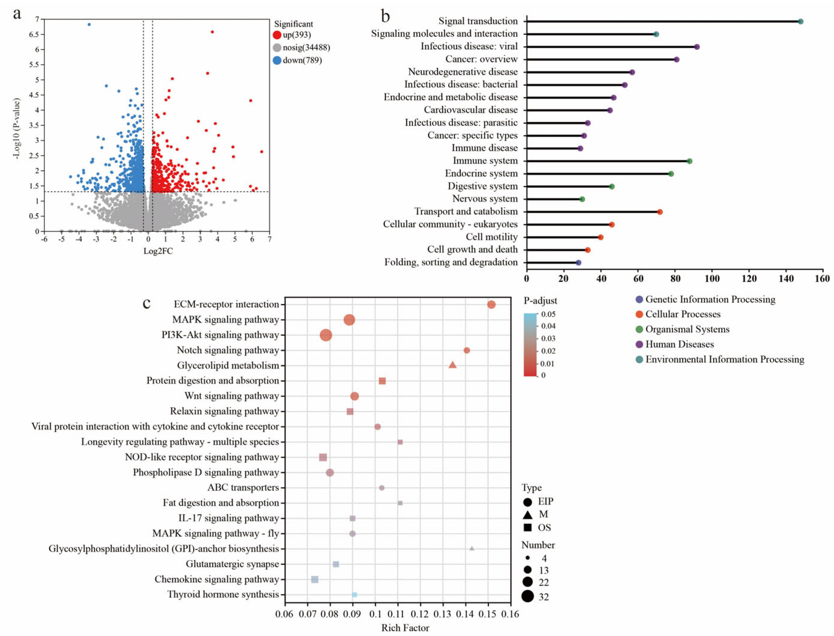 Nutrients 17 03415 g004 Nutrients 17 03415 g004