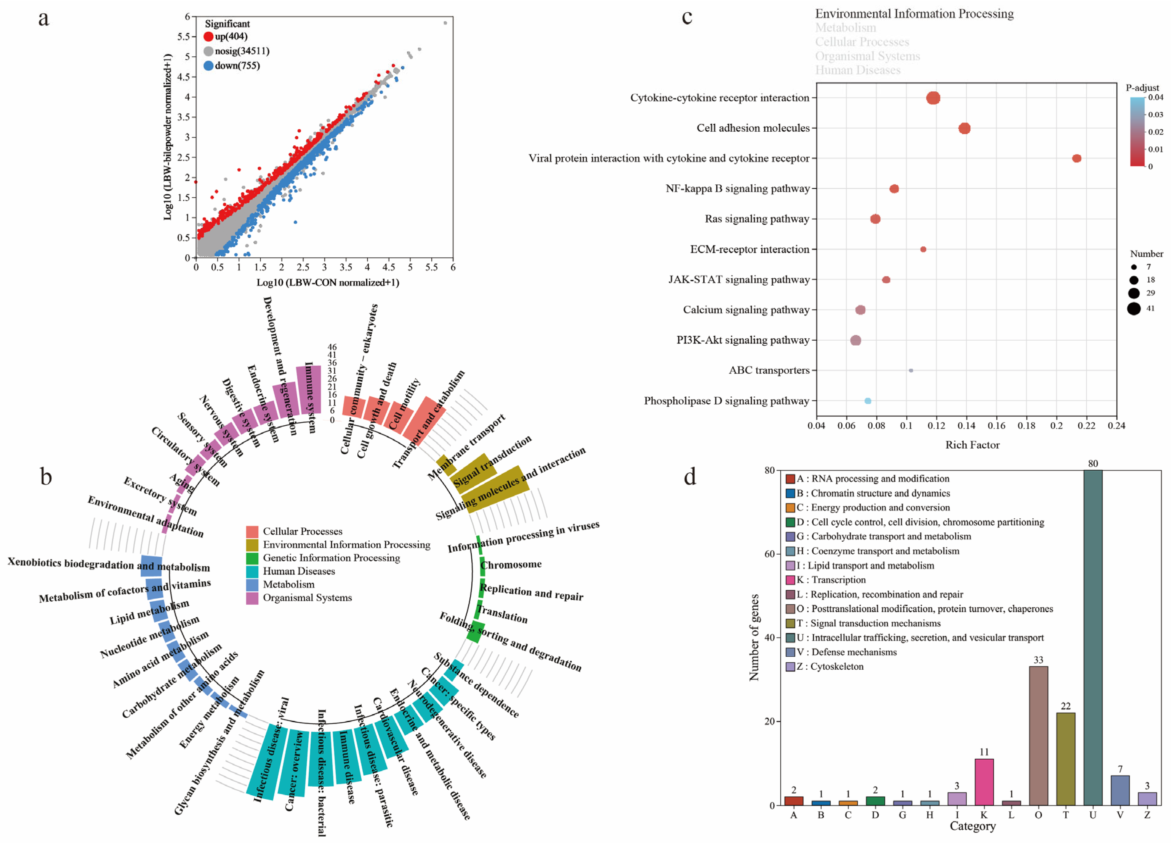 Nutrients 17 03415 g005 Nutrients 17 03415 g005