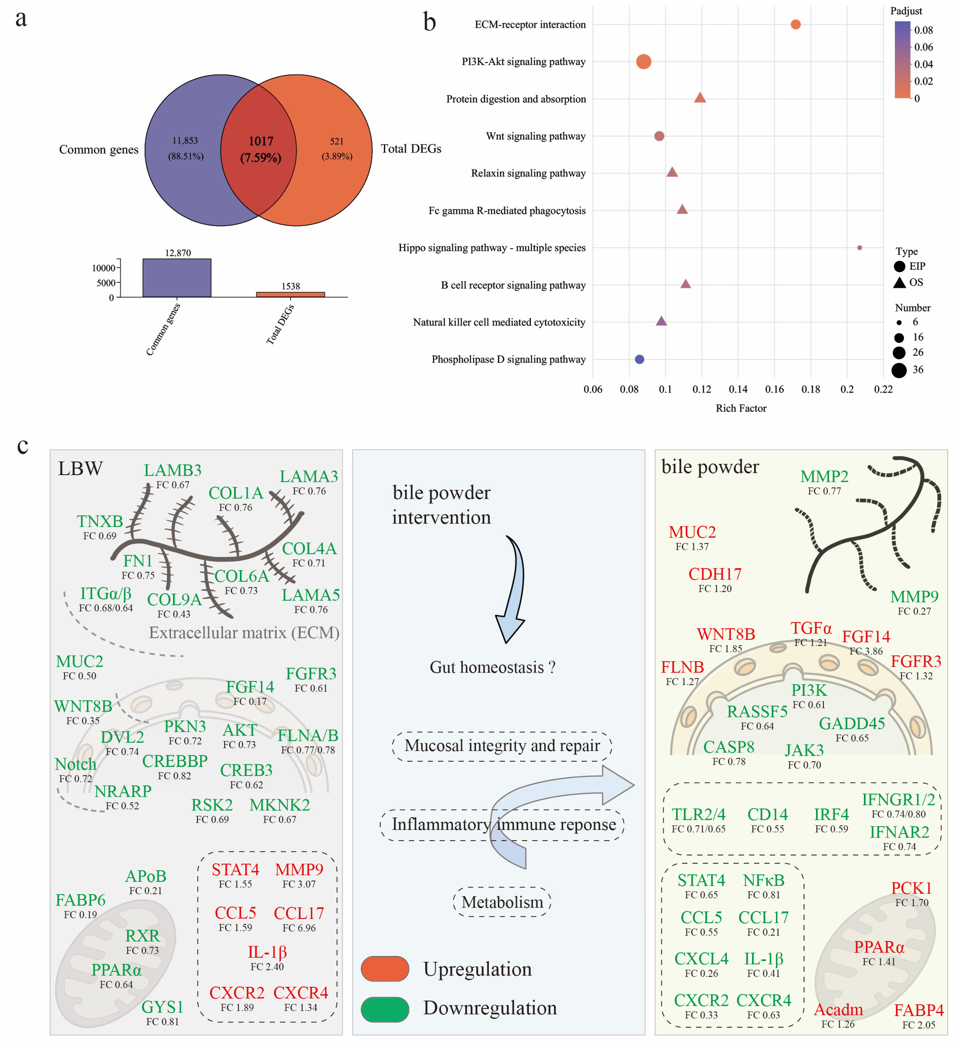 Nutrients 17 03415 g006 Nutrients 17 03415 g006