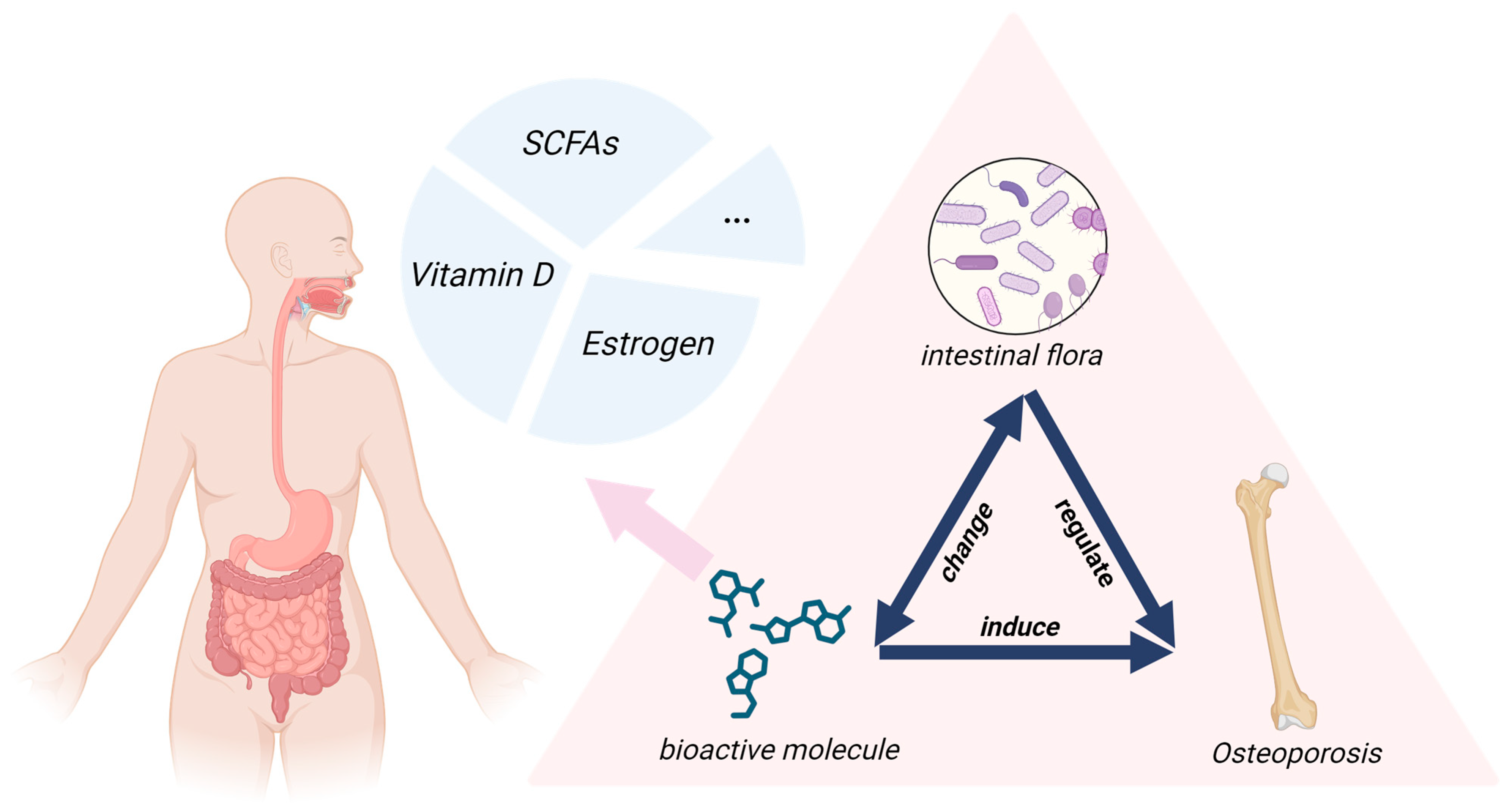 Nutrients 17 03421 g001 Nutrients 17 03421 g001