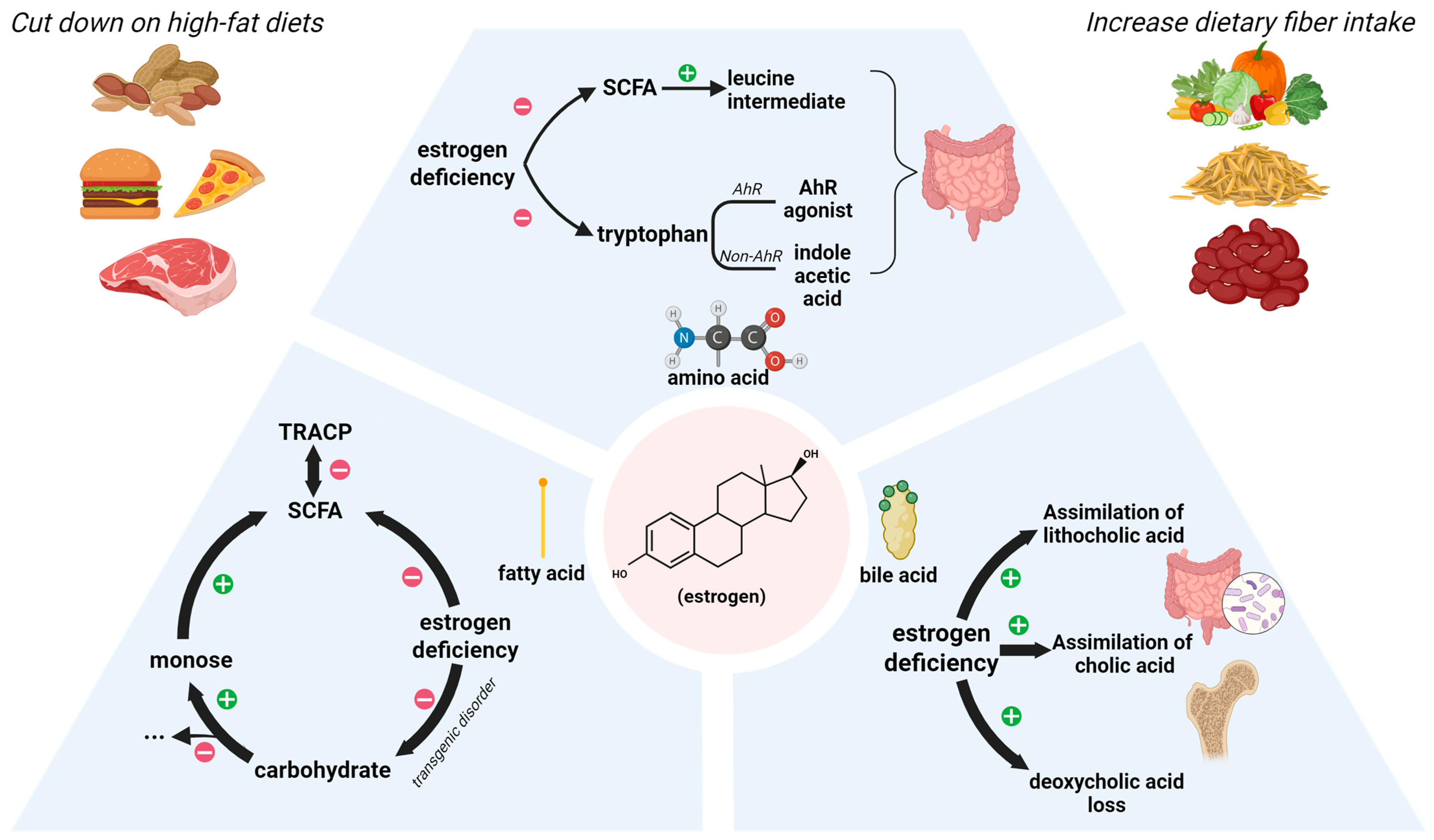 Nutrients 17 03421 g003 Nutrients 17 03421 g003
