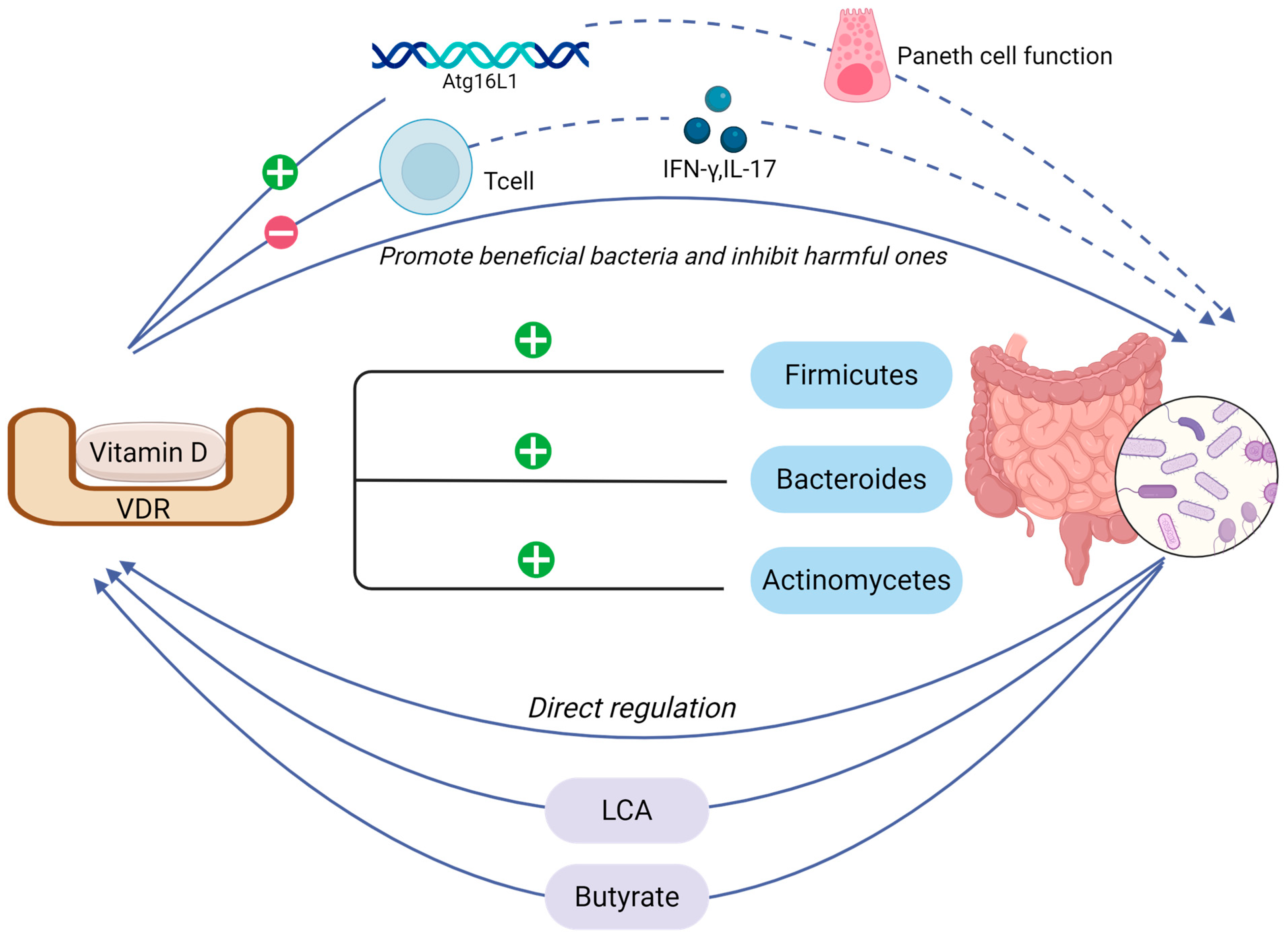 Nutrients 17 03421 g004 Nutrients 17 03421 g004