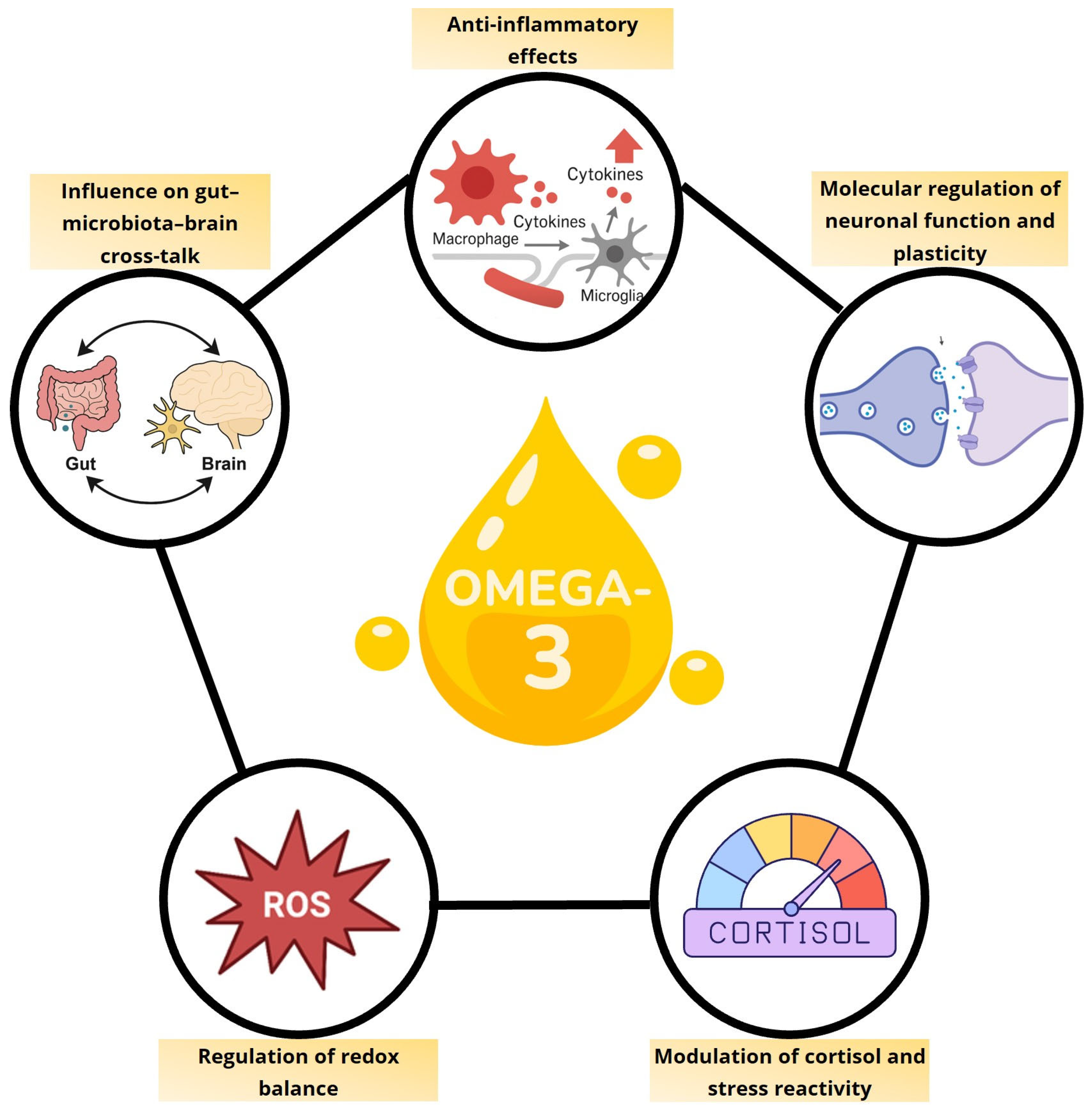 Nutrients 17 03426 g001