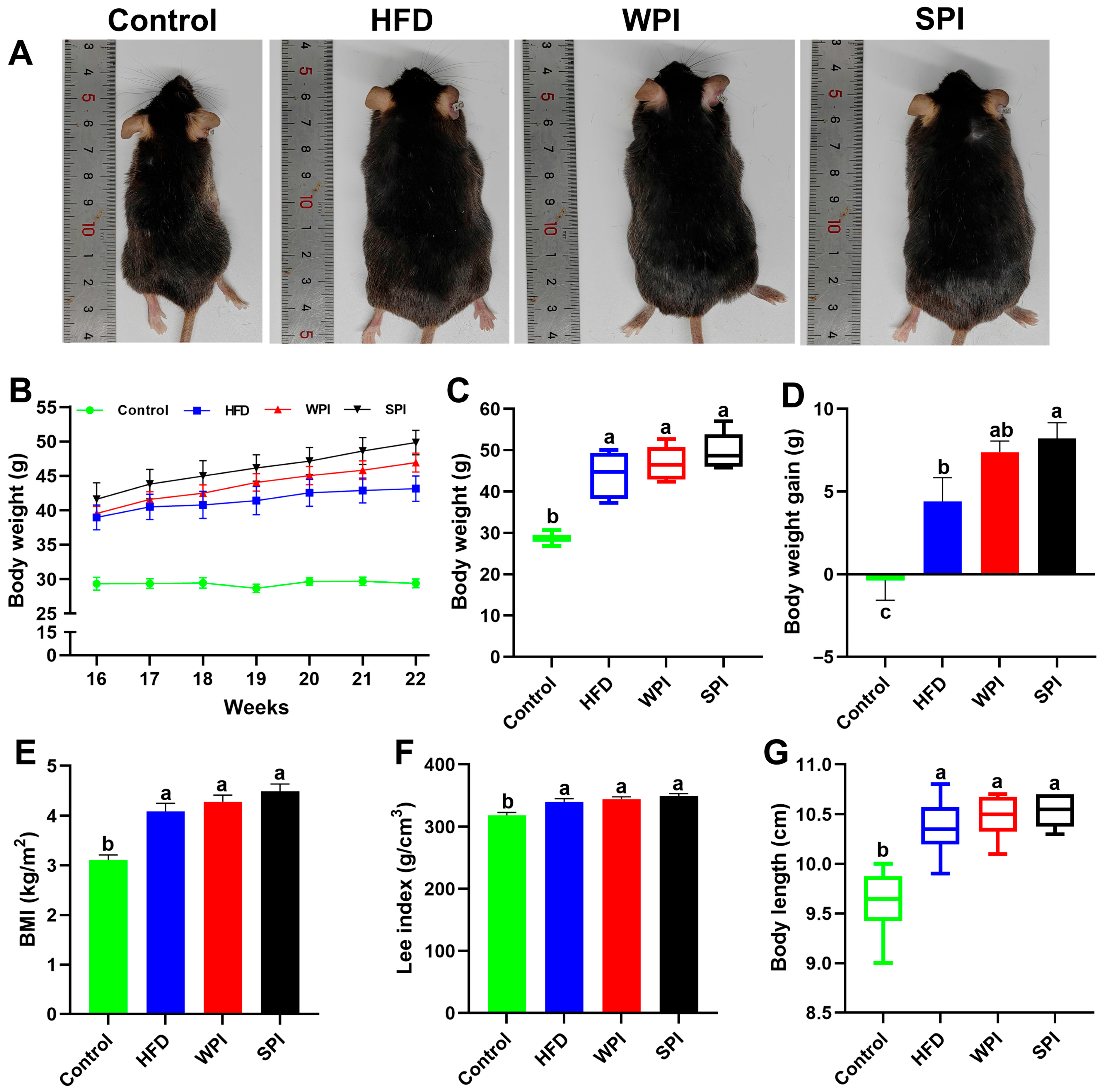 Nutrients 17 03427 g002